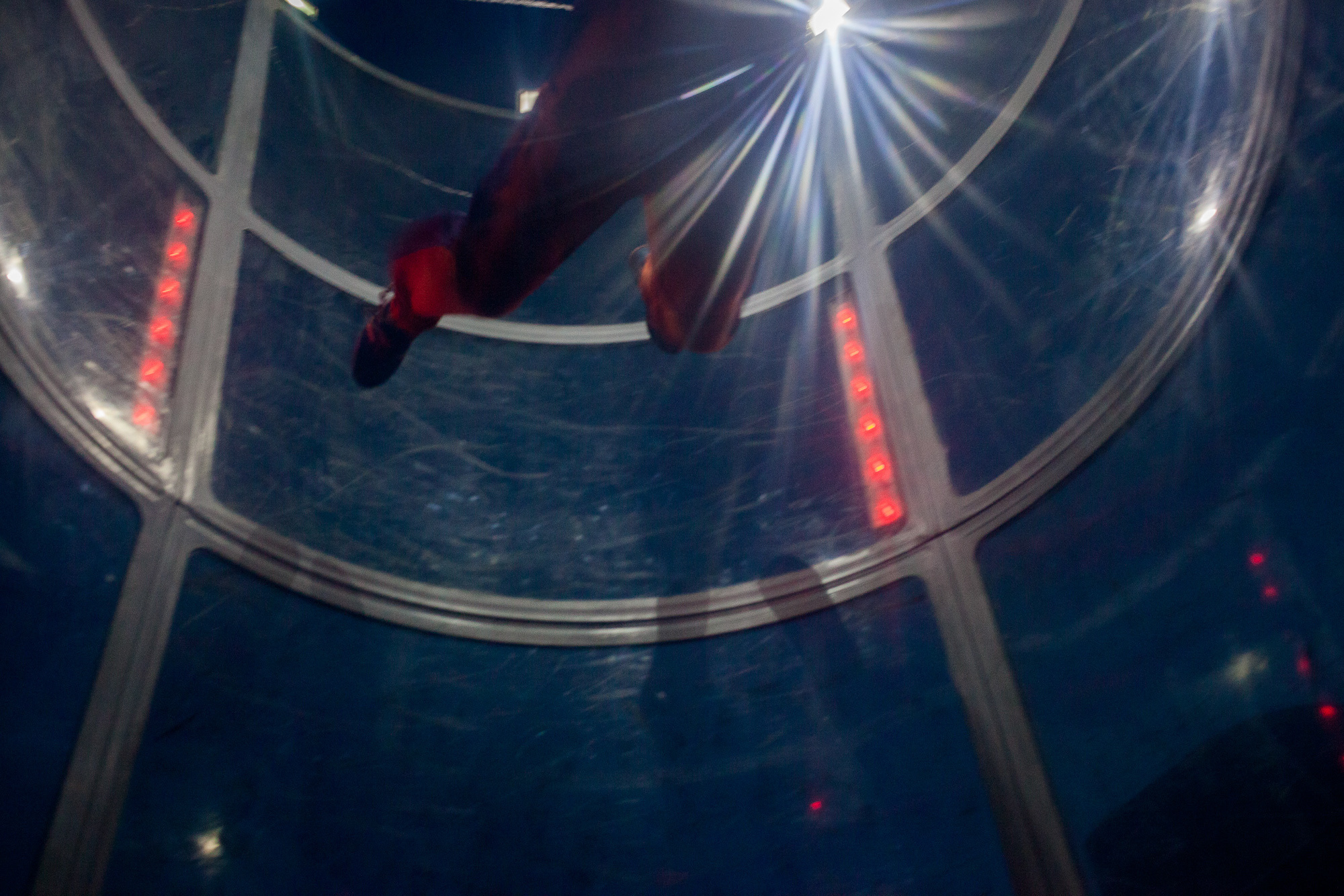 ICARUS. Evgeniya Kokurina