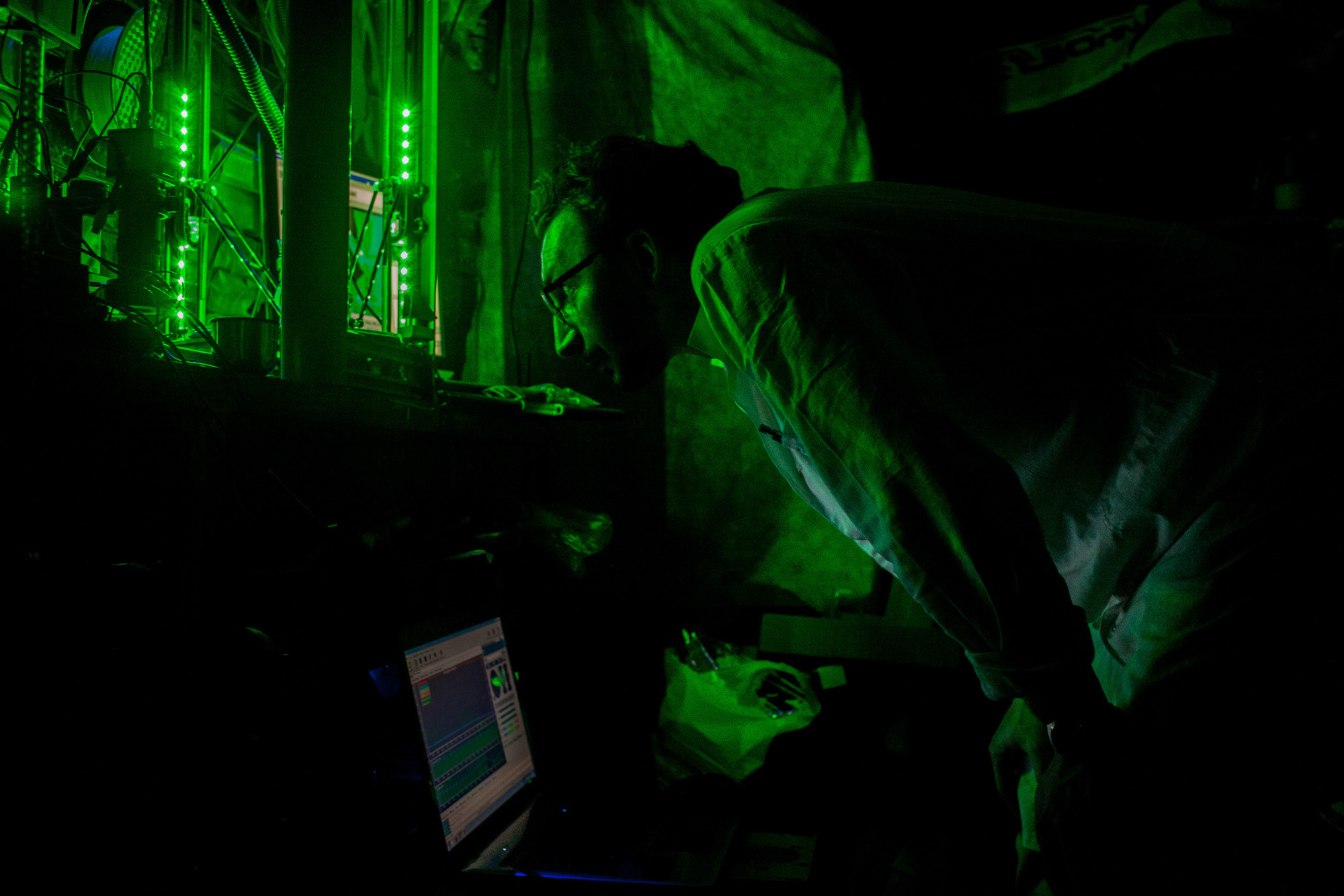 ICARUS. Evgeniya Kokurina