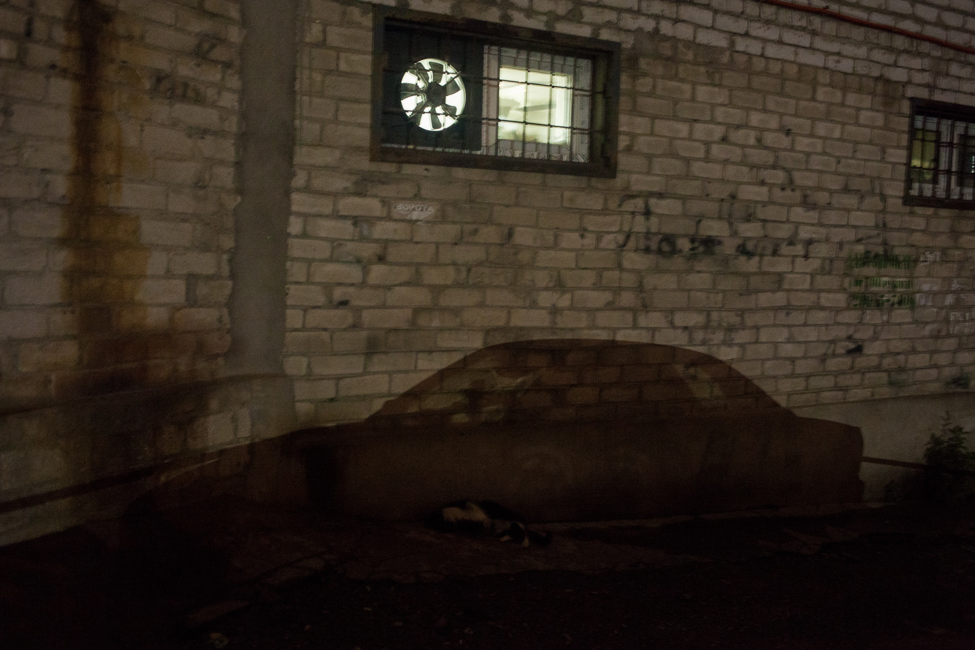 ICARUS. Evgeniya Kokurina