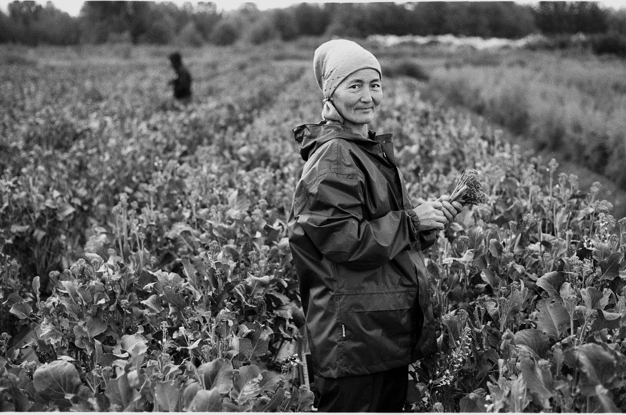 SuperFoodFarm. The history of the farm. Another person Pavel Potseluev. A photographer in 2025