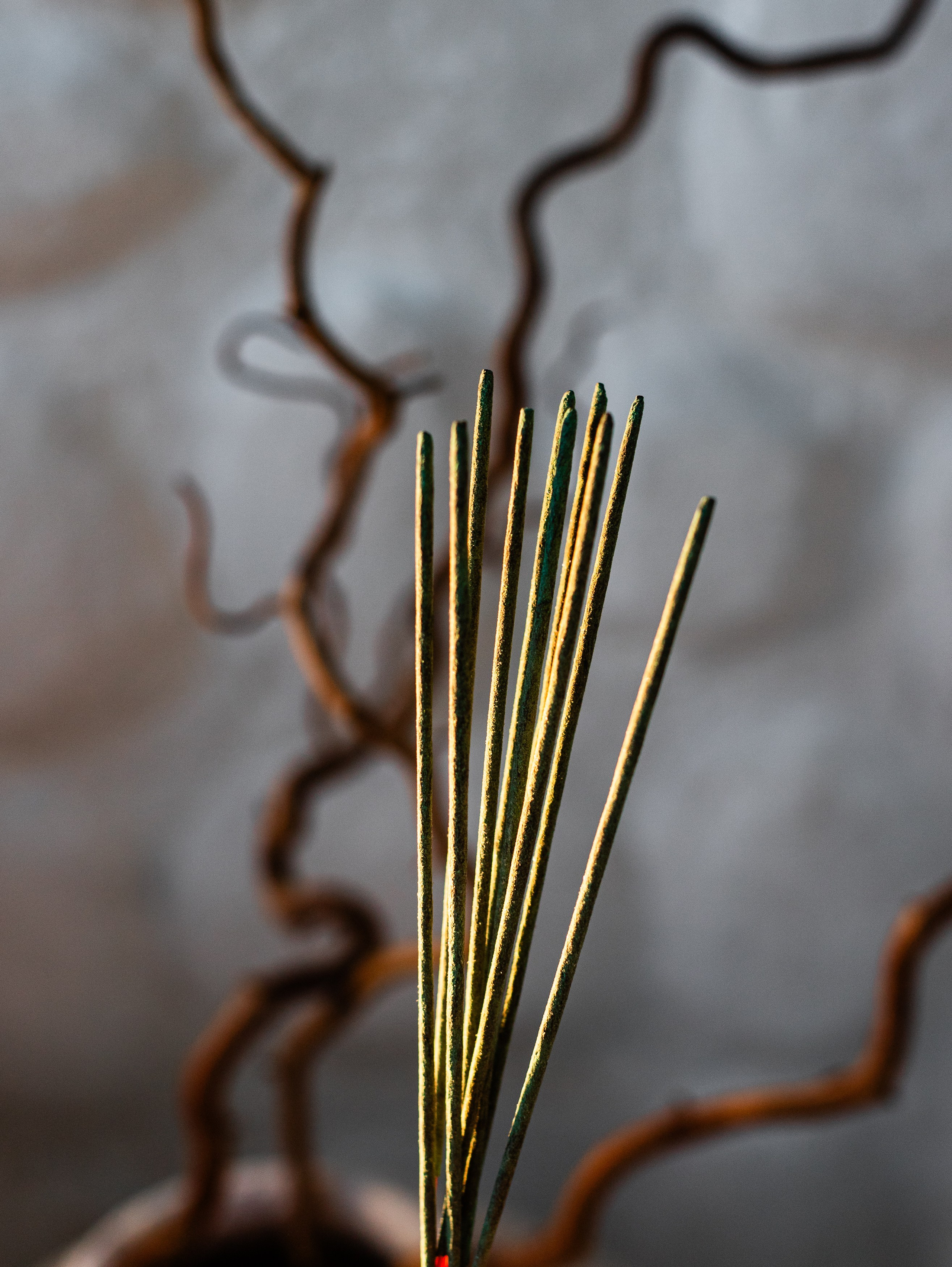 КЕЙСЫ. Фотограф Мария Немм