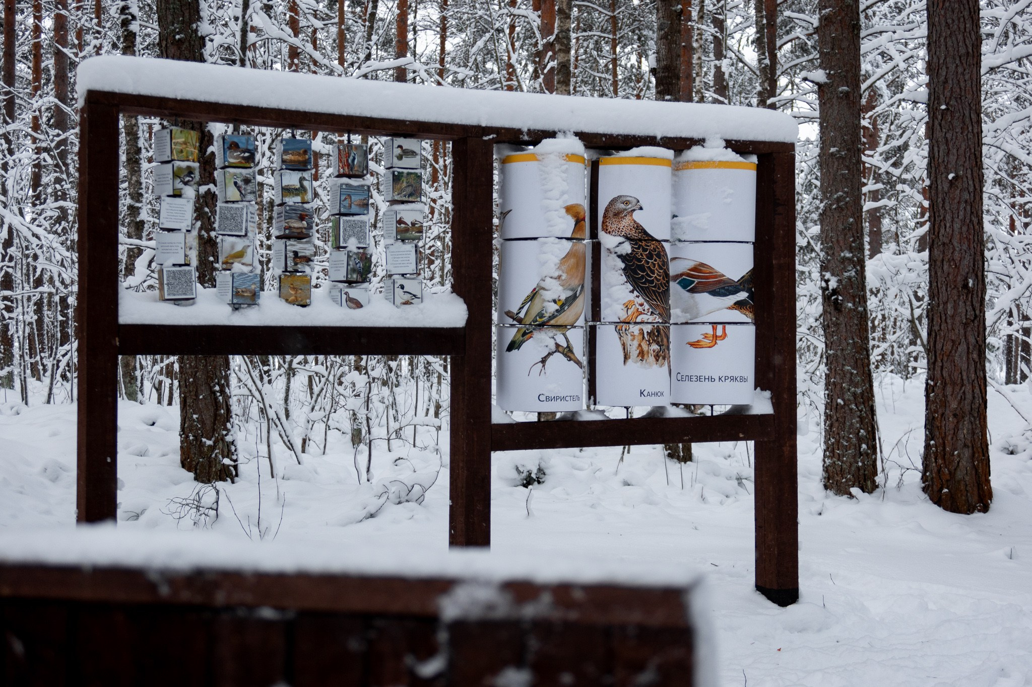 Новогодняя поездка в Санкт-Петербург. Павел Шарапов | Фотограф | Москва