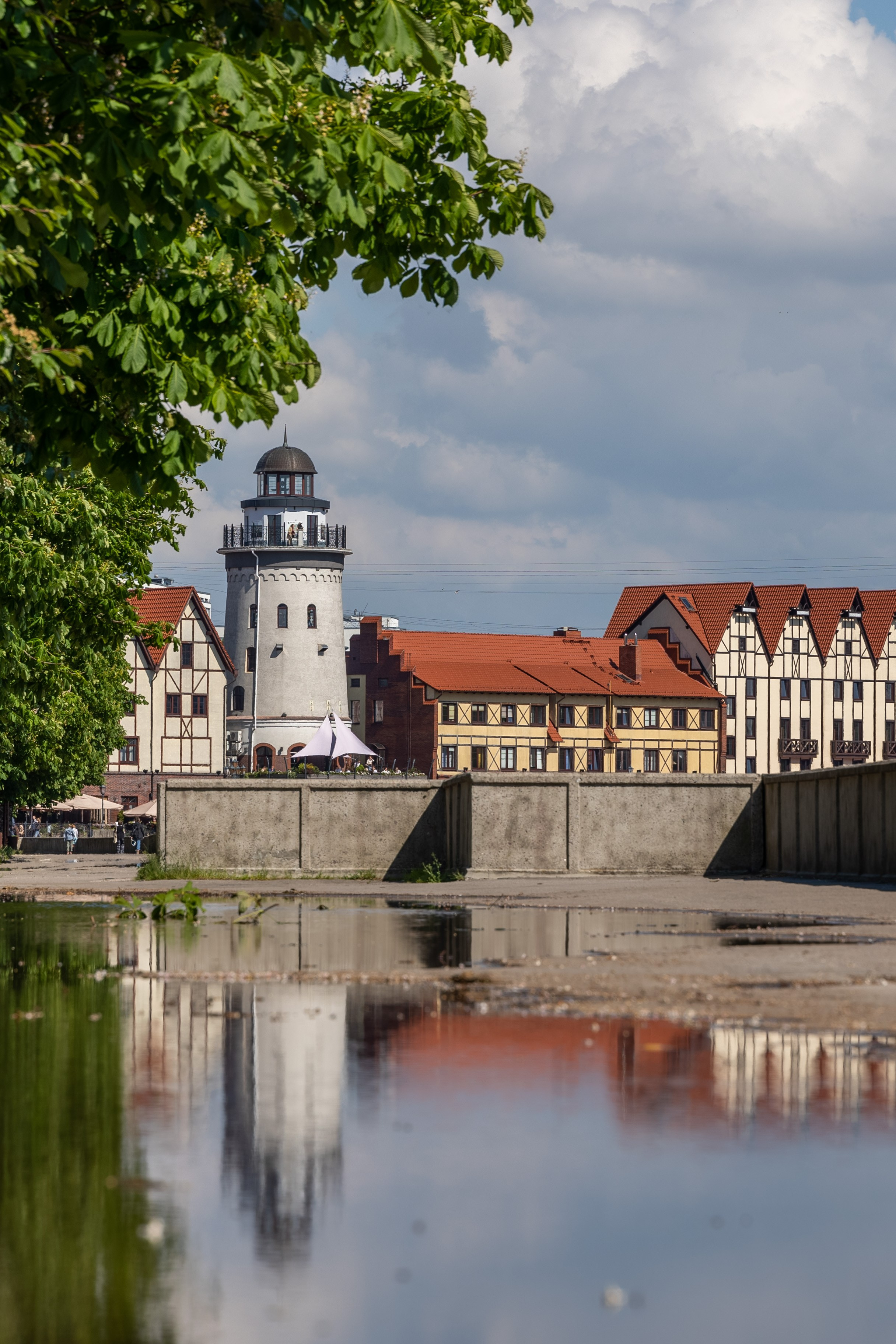 Калининградская область 19.10.2024 — 26.10.2024. Дмитрий Купрацевич профессиональный пейзажный и travel-фотограф