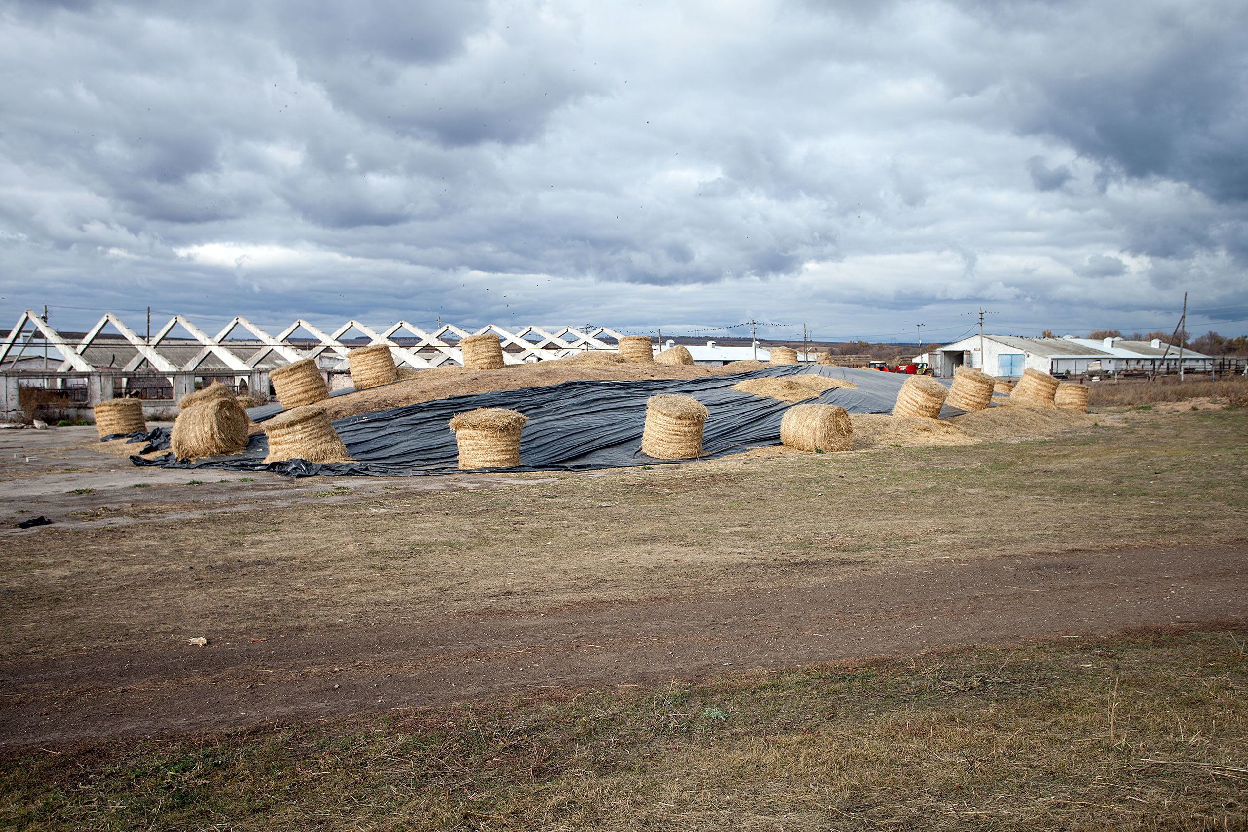 Наши заказчики. Оценка и экспертиза в Самарской области