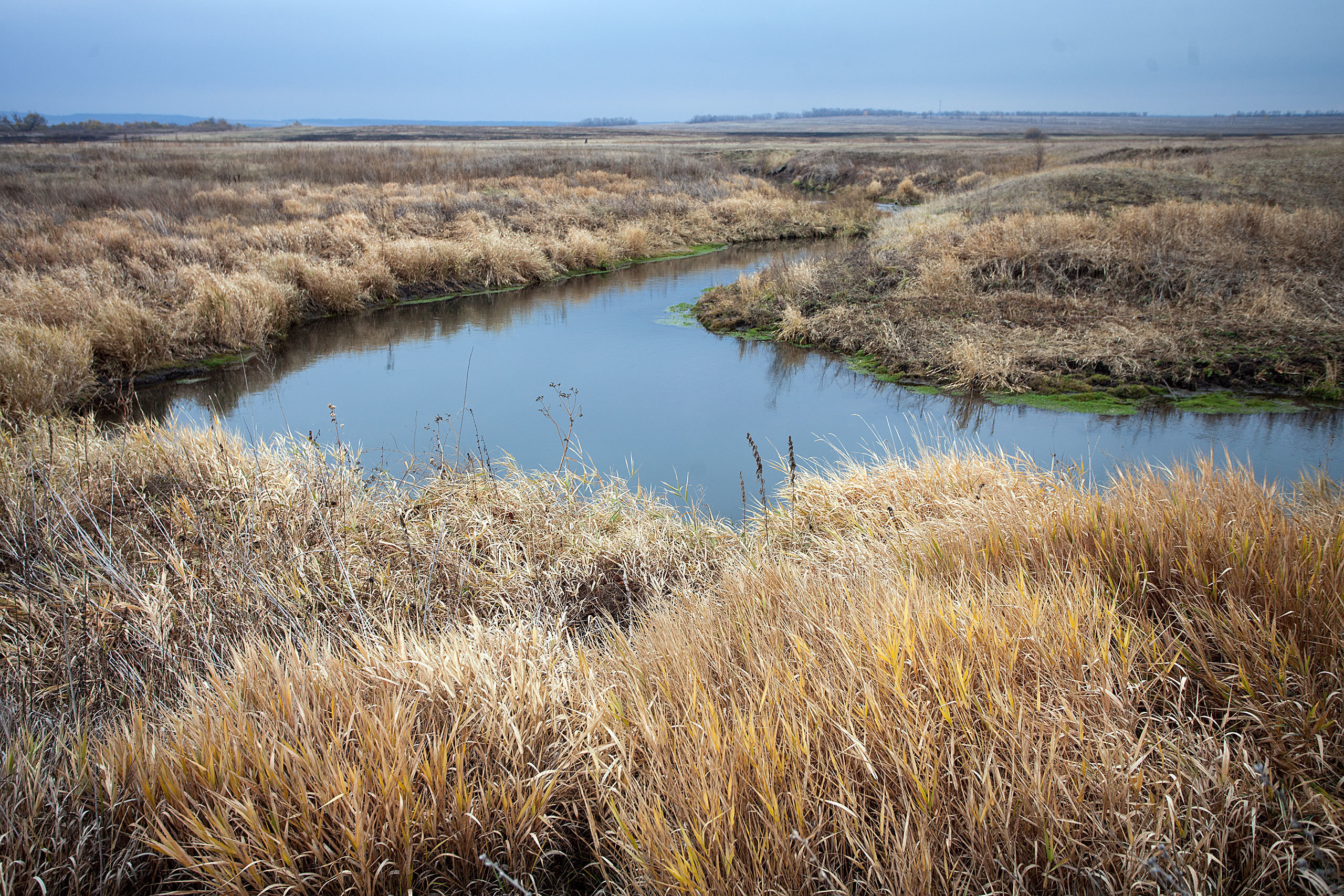 Наши заказчики. Оценка и экспертиза в Самарской области
