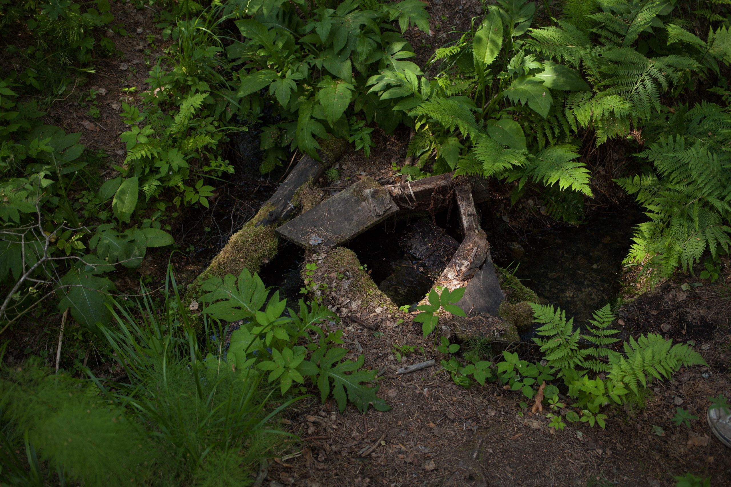 Наши заказчики. Оценка и экспертиза в Самарской области