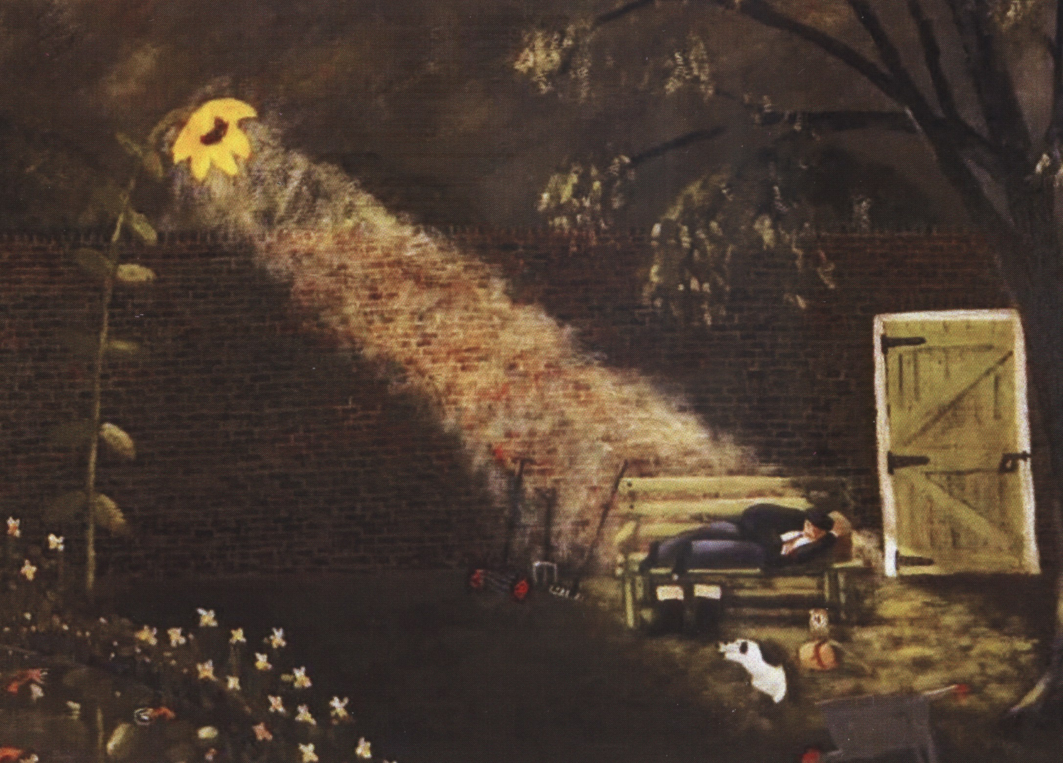 Консультация с метафорическими картами. Фотограф, психолог в Москве, Жуковском, Раменском Галина Майлер