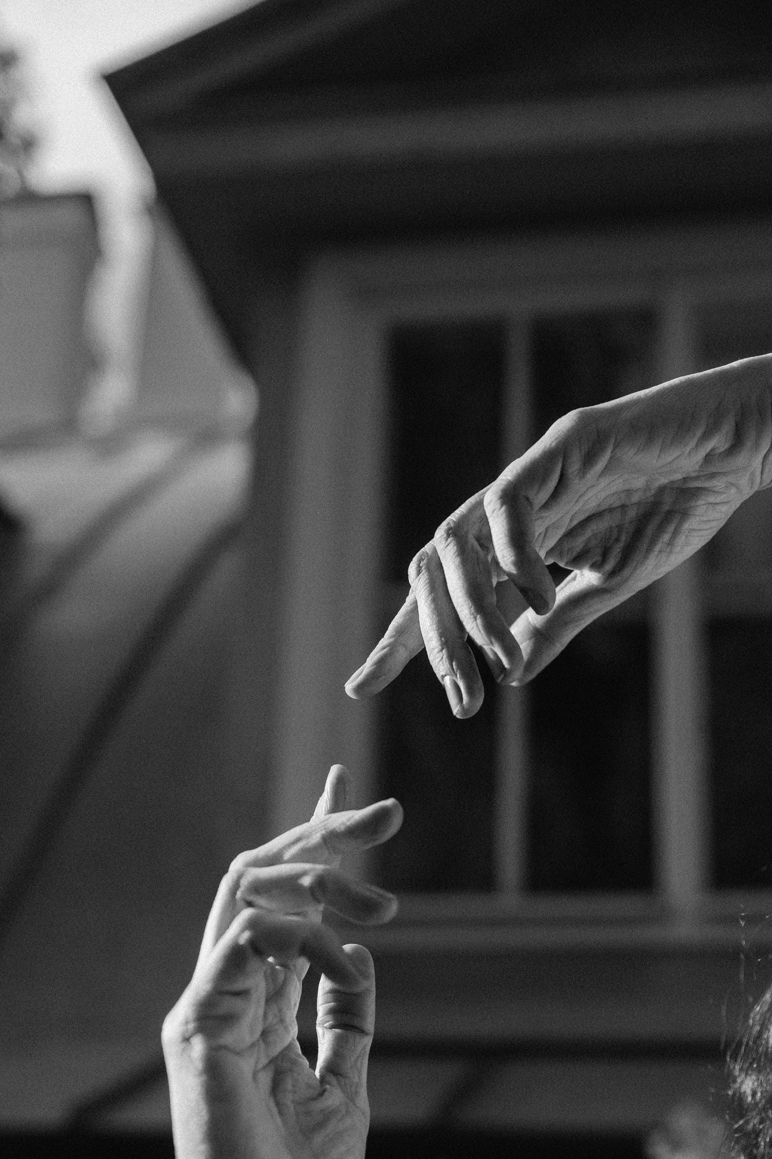 П р о Я в л е н и е для Марины. Виноградова Маргарита. Фотограф P r o Явления