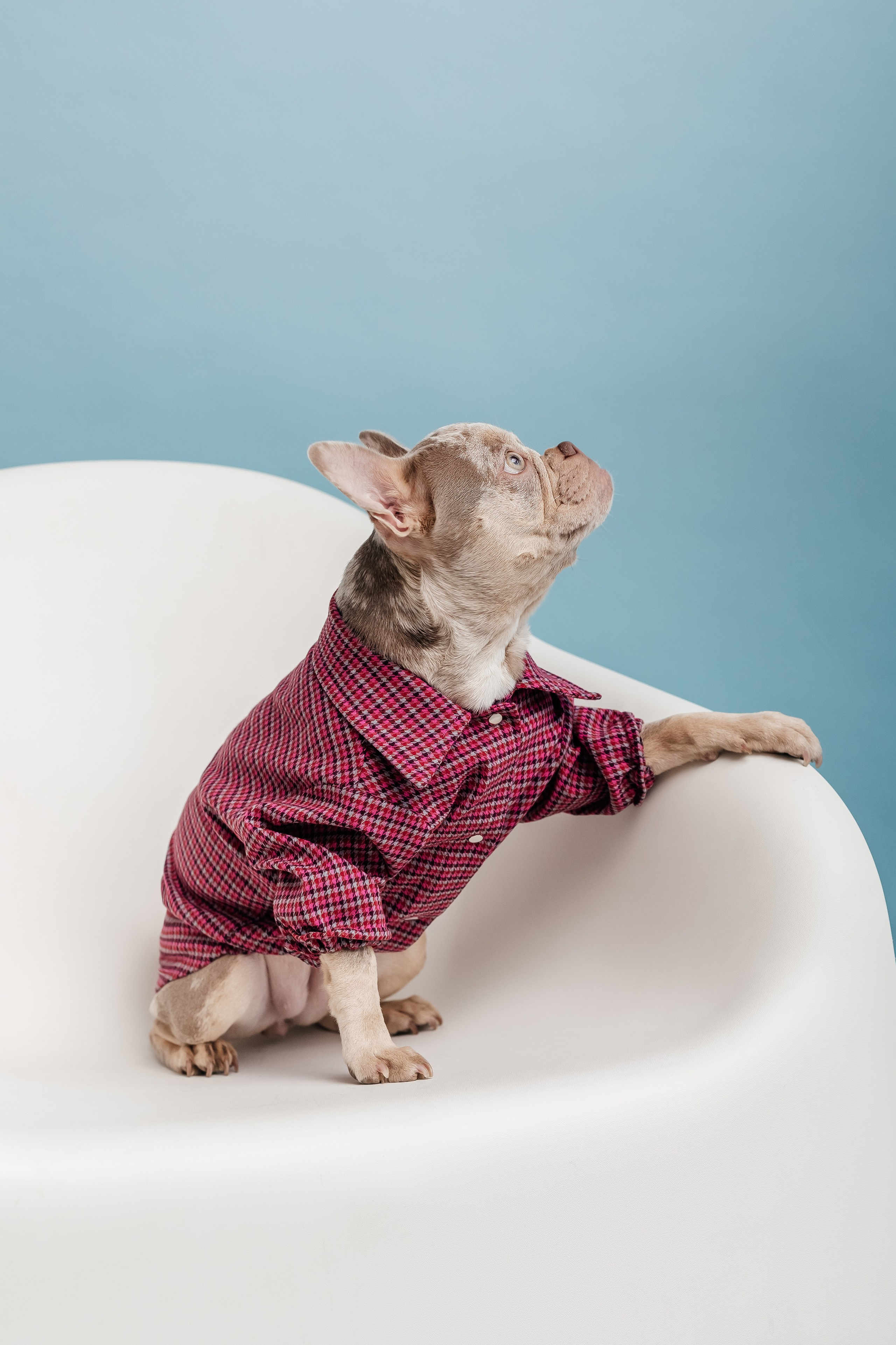 Портфолио animal. Фотограф — анималист Маргарита Хелбен Краснодар