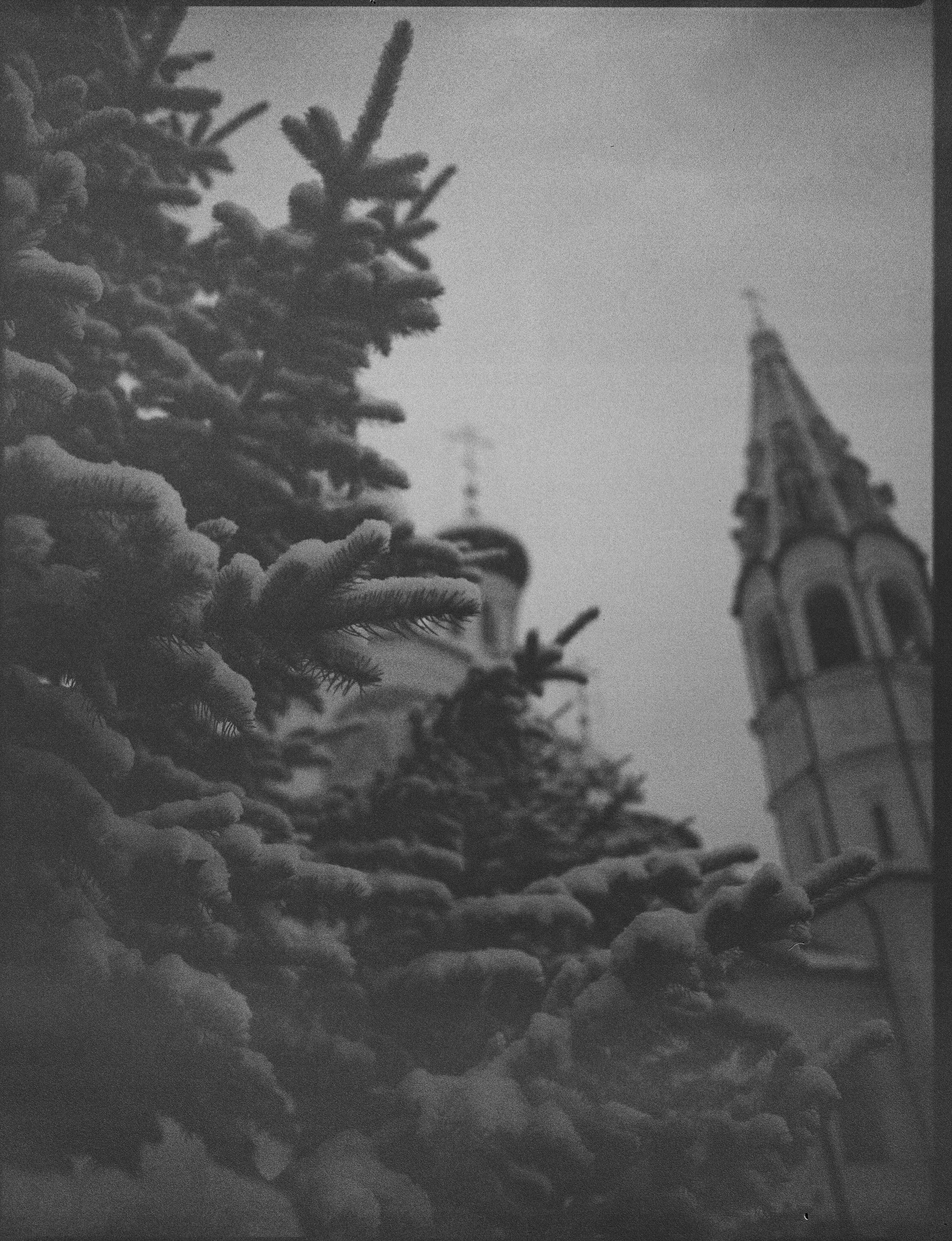 Mamiya 645 PRO — Mamiya-Sekor C 45 mm f/2.8