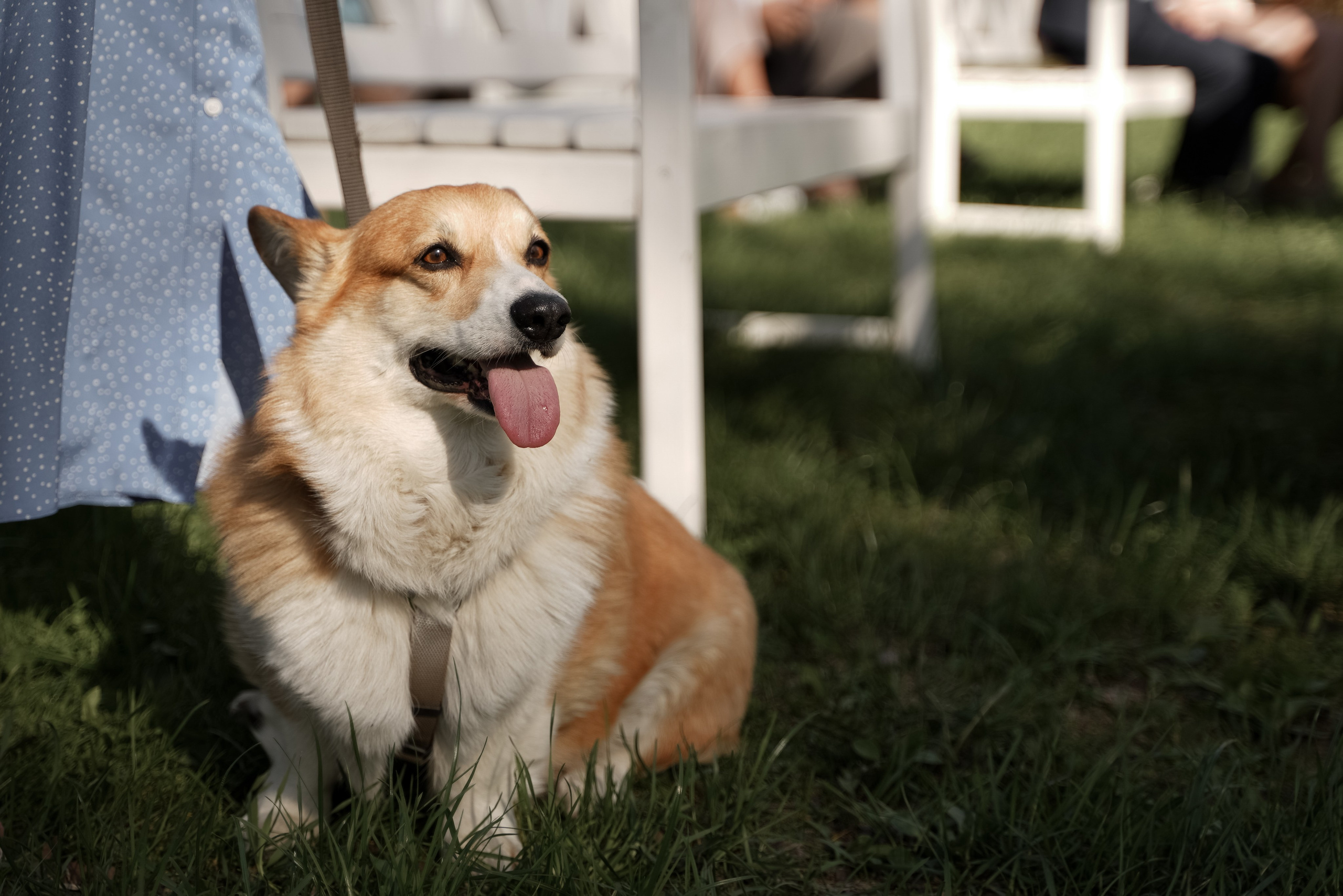 Ольга и Даниил. Свадебный фотограф Марина Попова