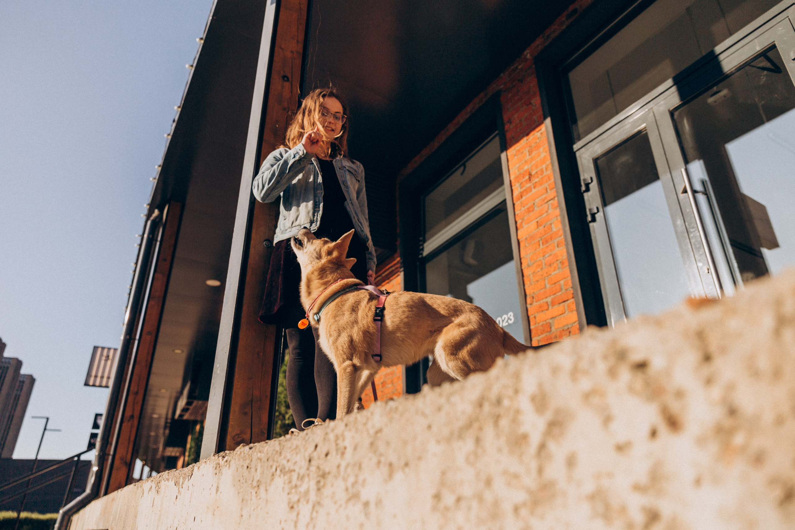 Фотограф-анималист в Москве Соломонова Варвара