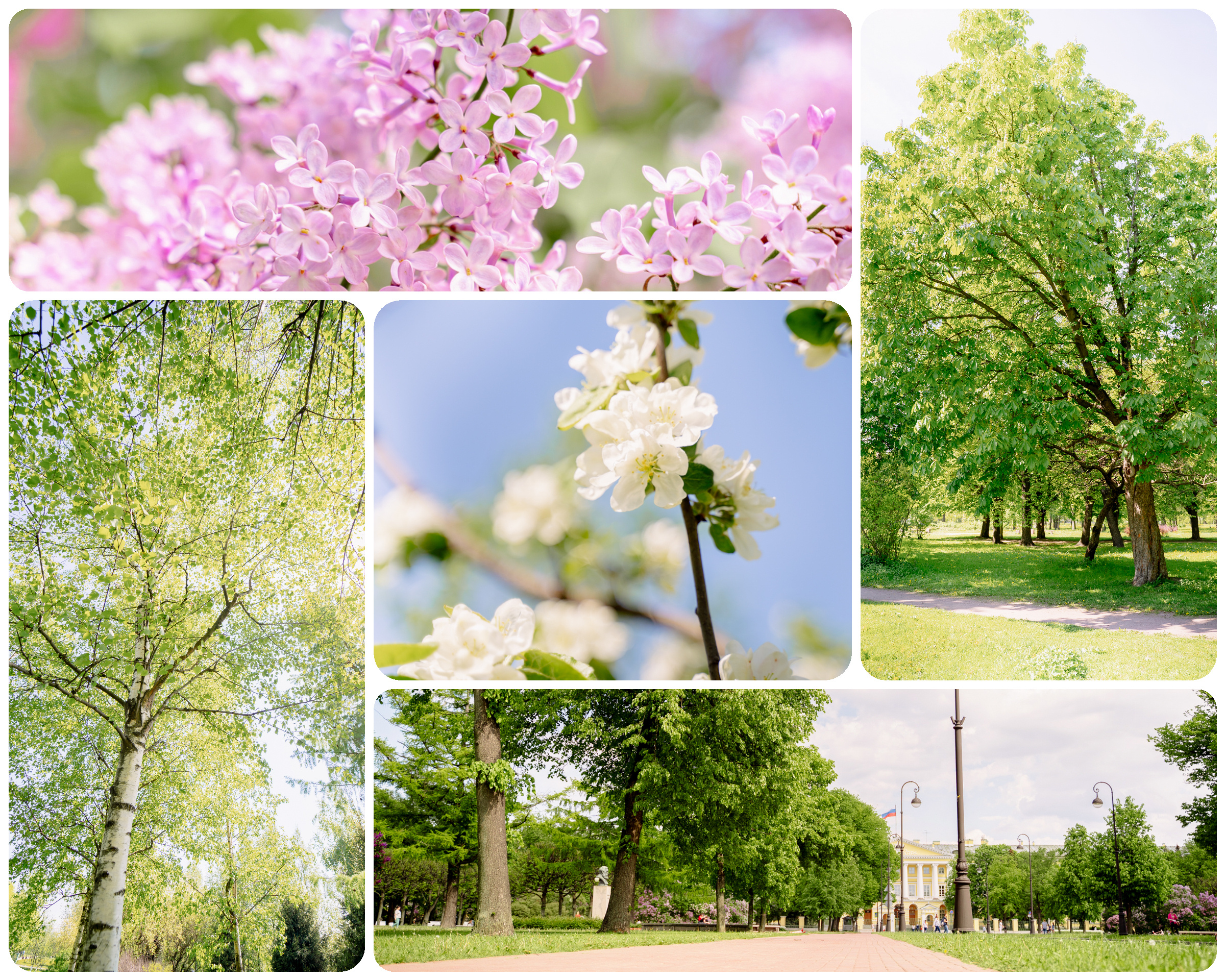 Архитектура и достопримечательности. Фотограф беременных в СПб — Елена Александрова