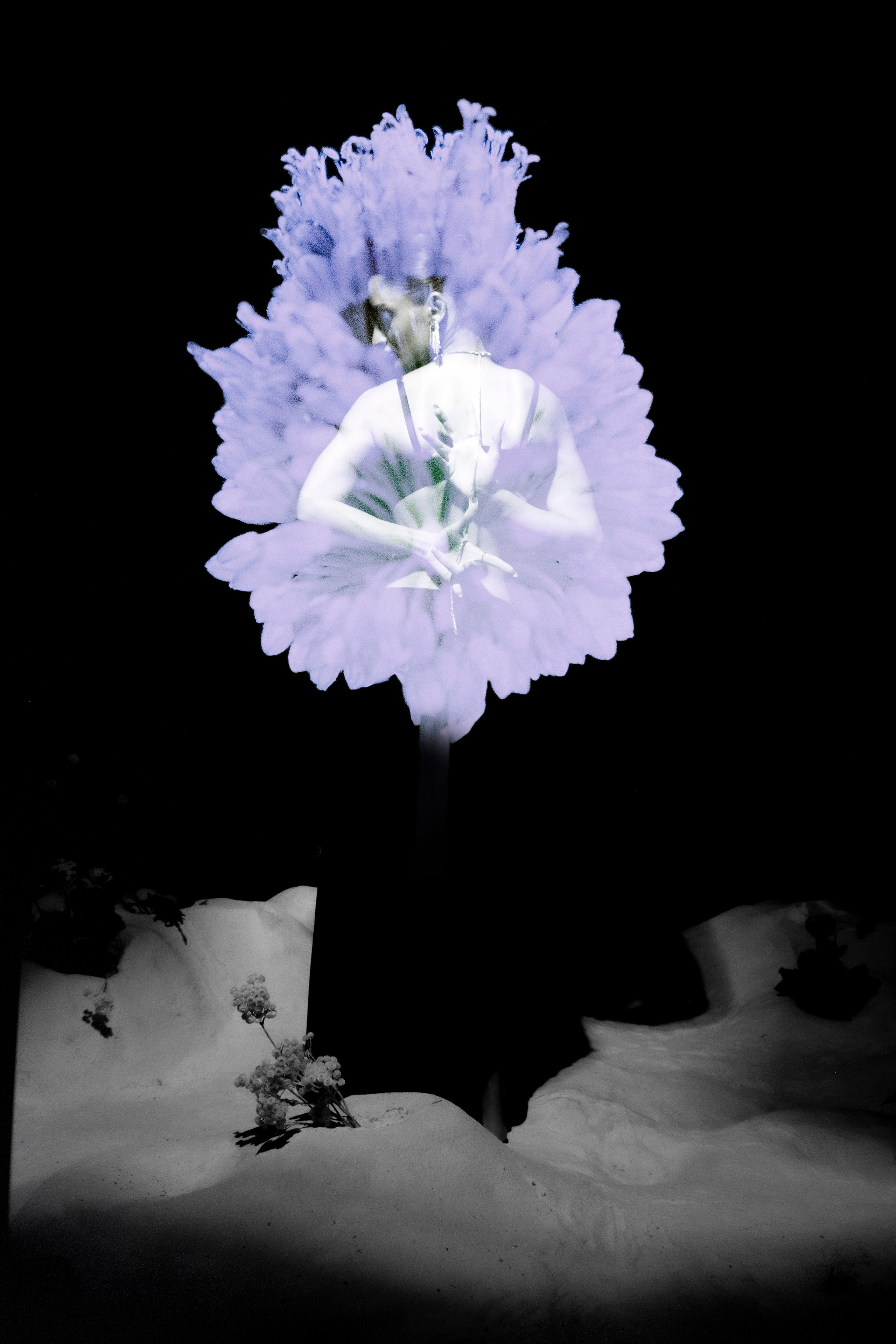 Сертификаты. Портретный и fashion-фотограф в Санкт-Петербурге Олеся Поле