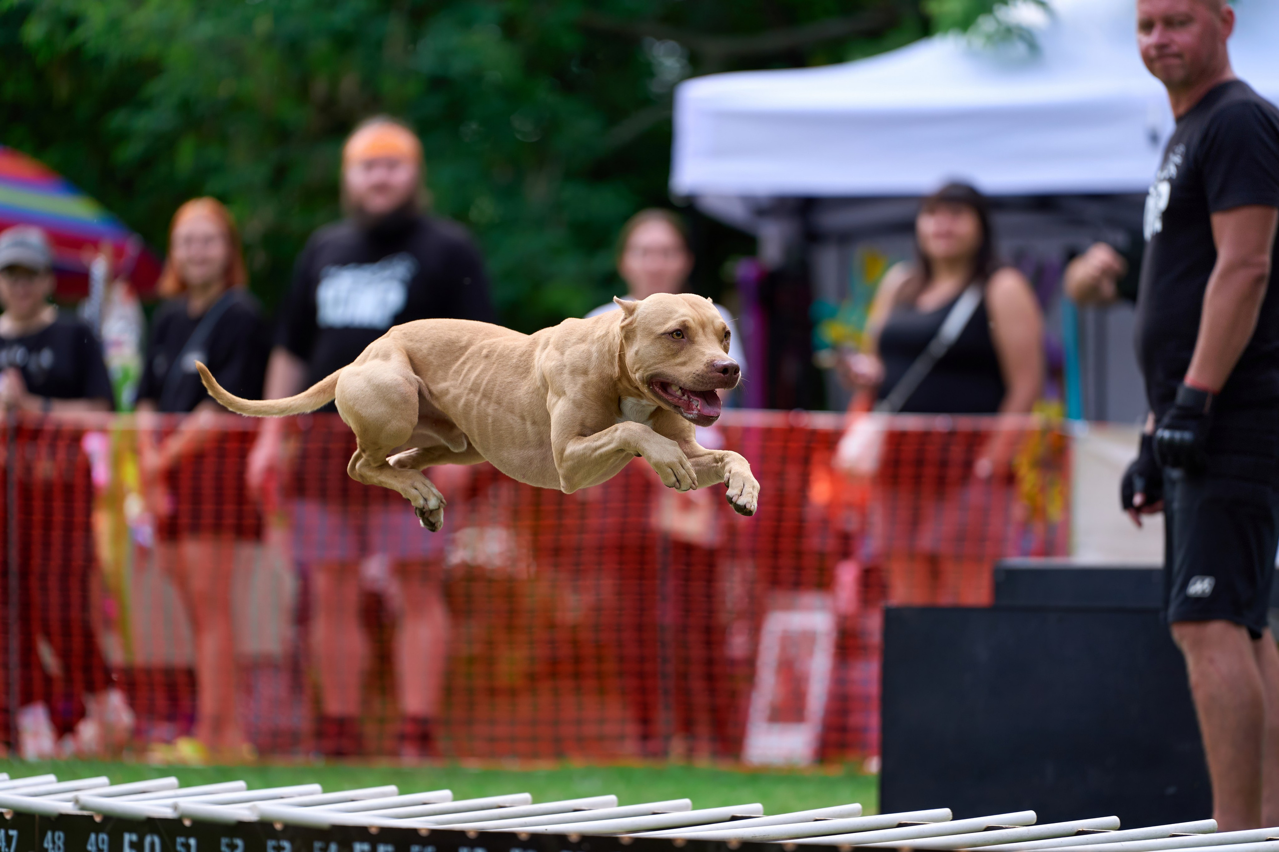 Jump'n'Gym JUMP! — 2024. Фотограф-анималист Михаил Манухин