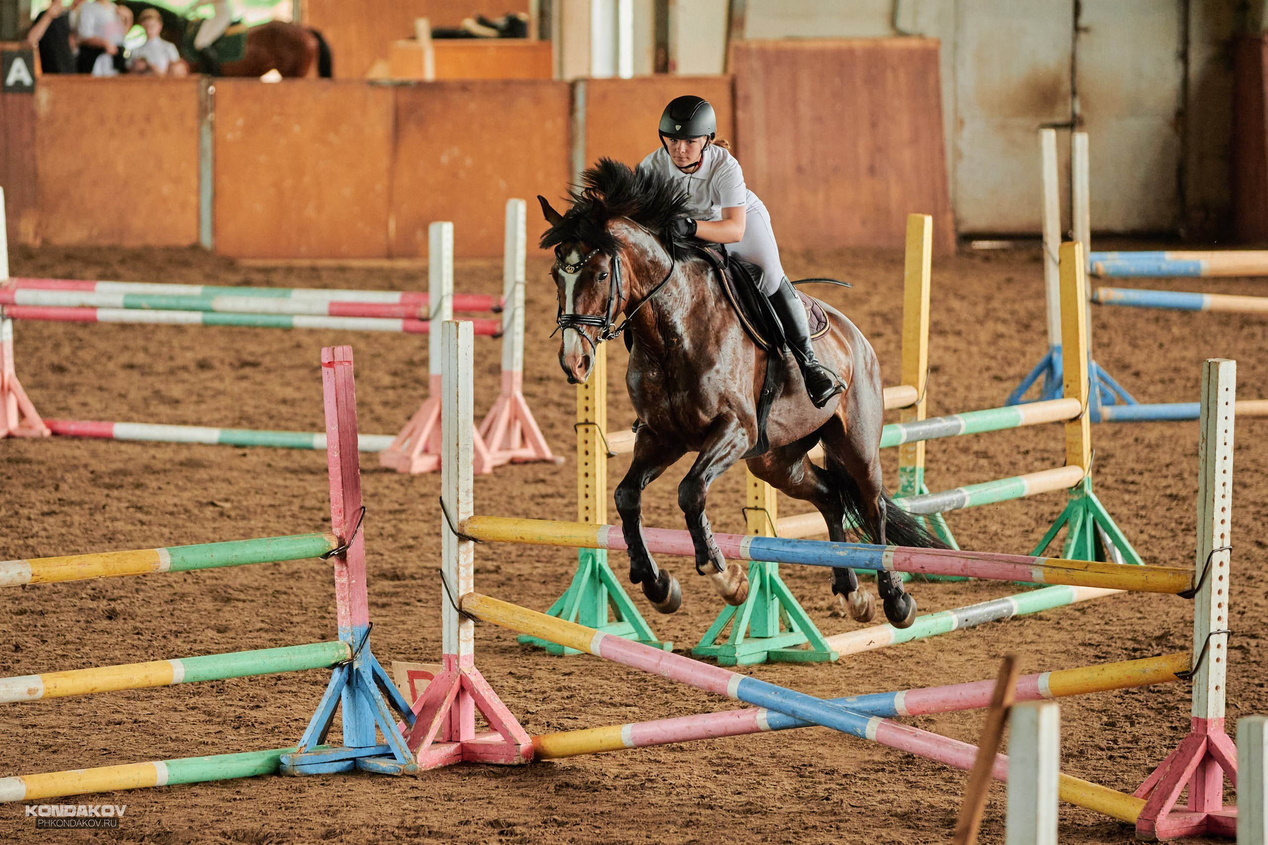 Съемка соревнований по конкуру для Риат. Фотограф в Иваново: Каталожная съемка одежды и постельного белья, Wildberries