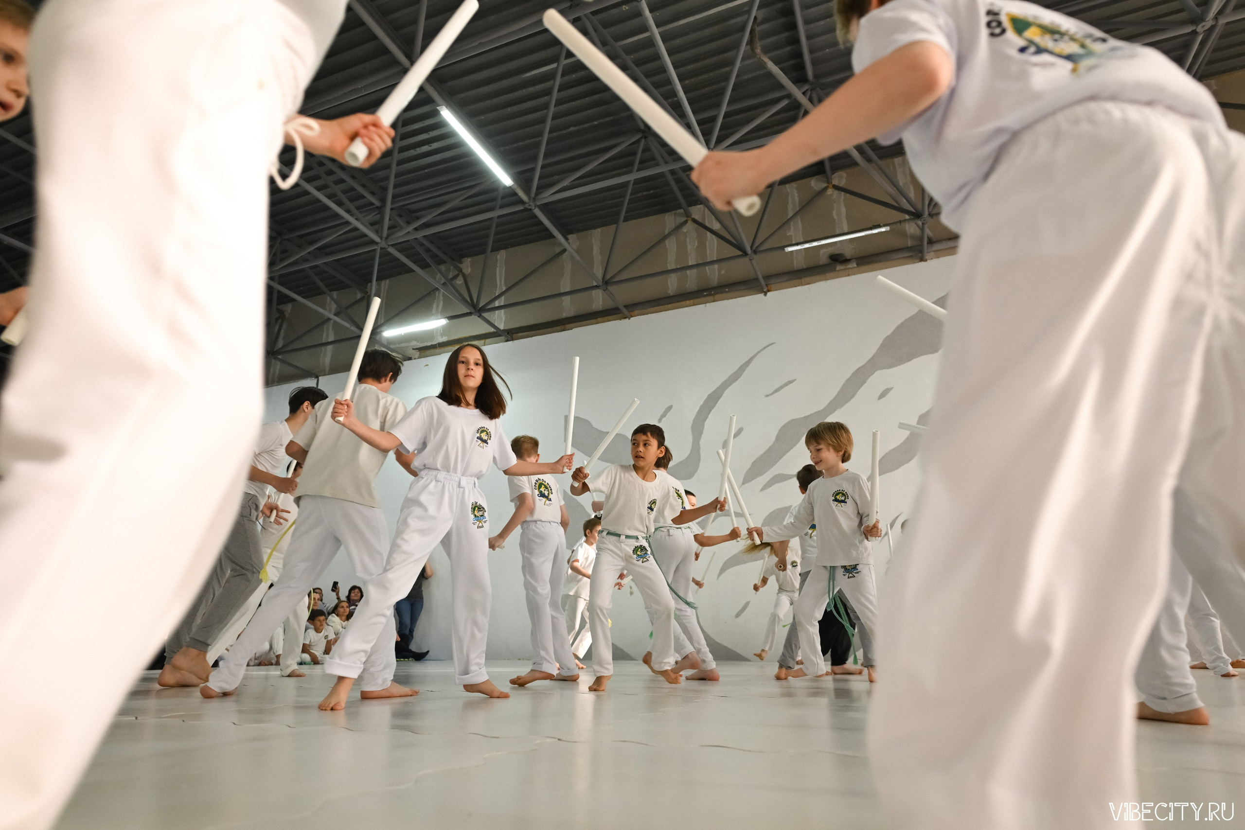 Capoeira: 4-е batizado e Troca de cordao. VIBECITY.RU Вайб Сити Ру Фоторепортажи Фотоотчеты Калининград