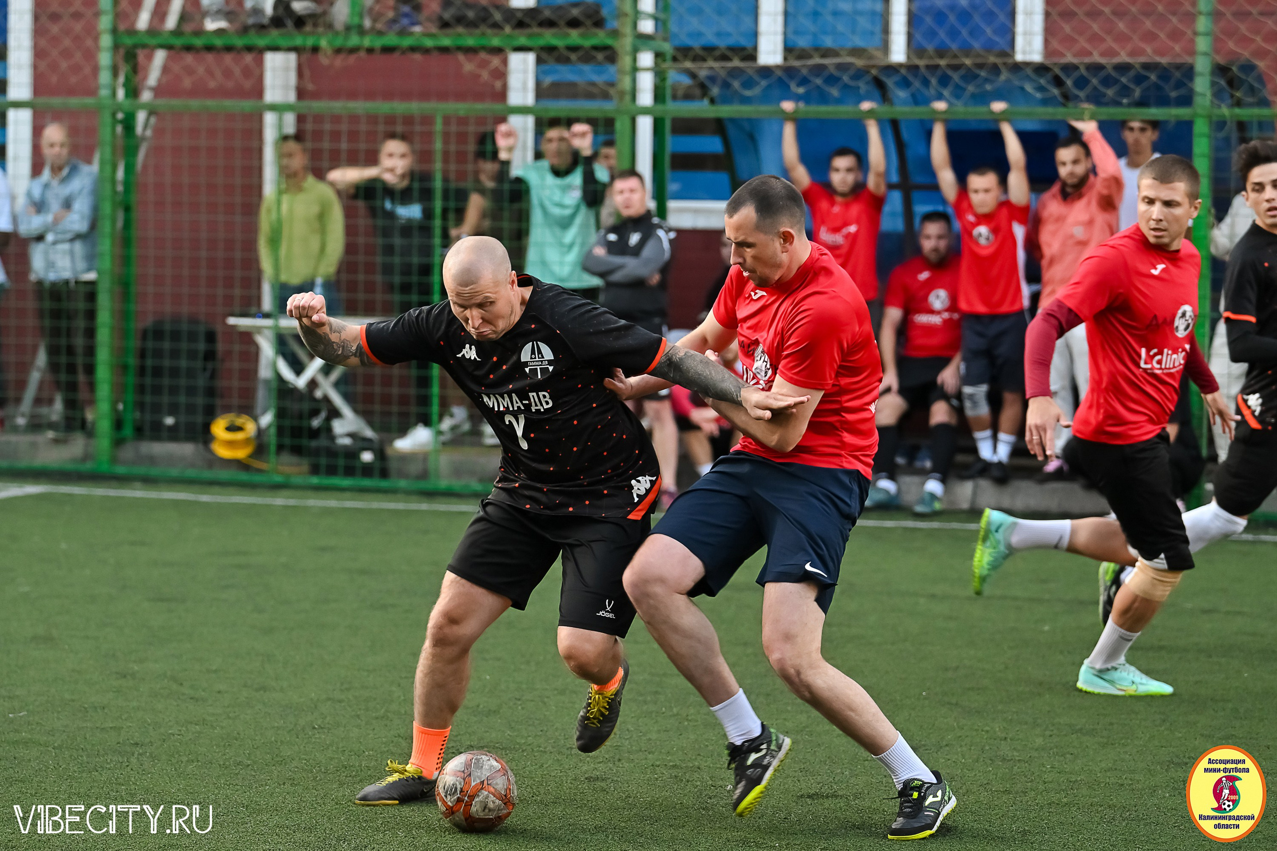 ИГРЫ МИНИ-ФУТБОЛЬНОЙ И КОРПОРАТИВНОЙ ЛИГИ. VIBECITY.RU Вайб Сити Ру Фоторепортажи Фотоотчеты Калининград