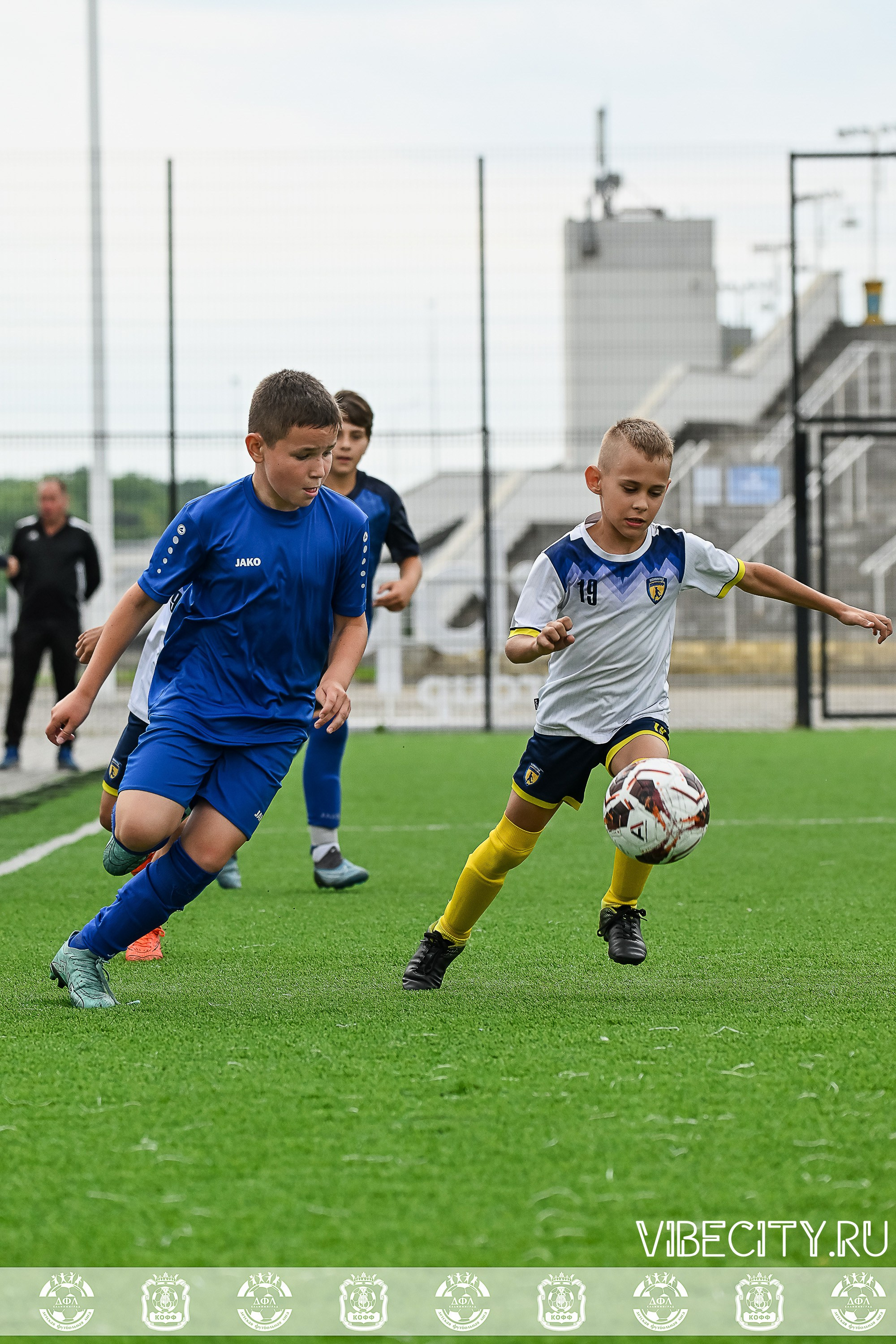 Калининградская Детская Футбольная Лига. VIBECITY.RU Вайб Сити Ру Фоторепортажи Фотоотчеты Калининград
