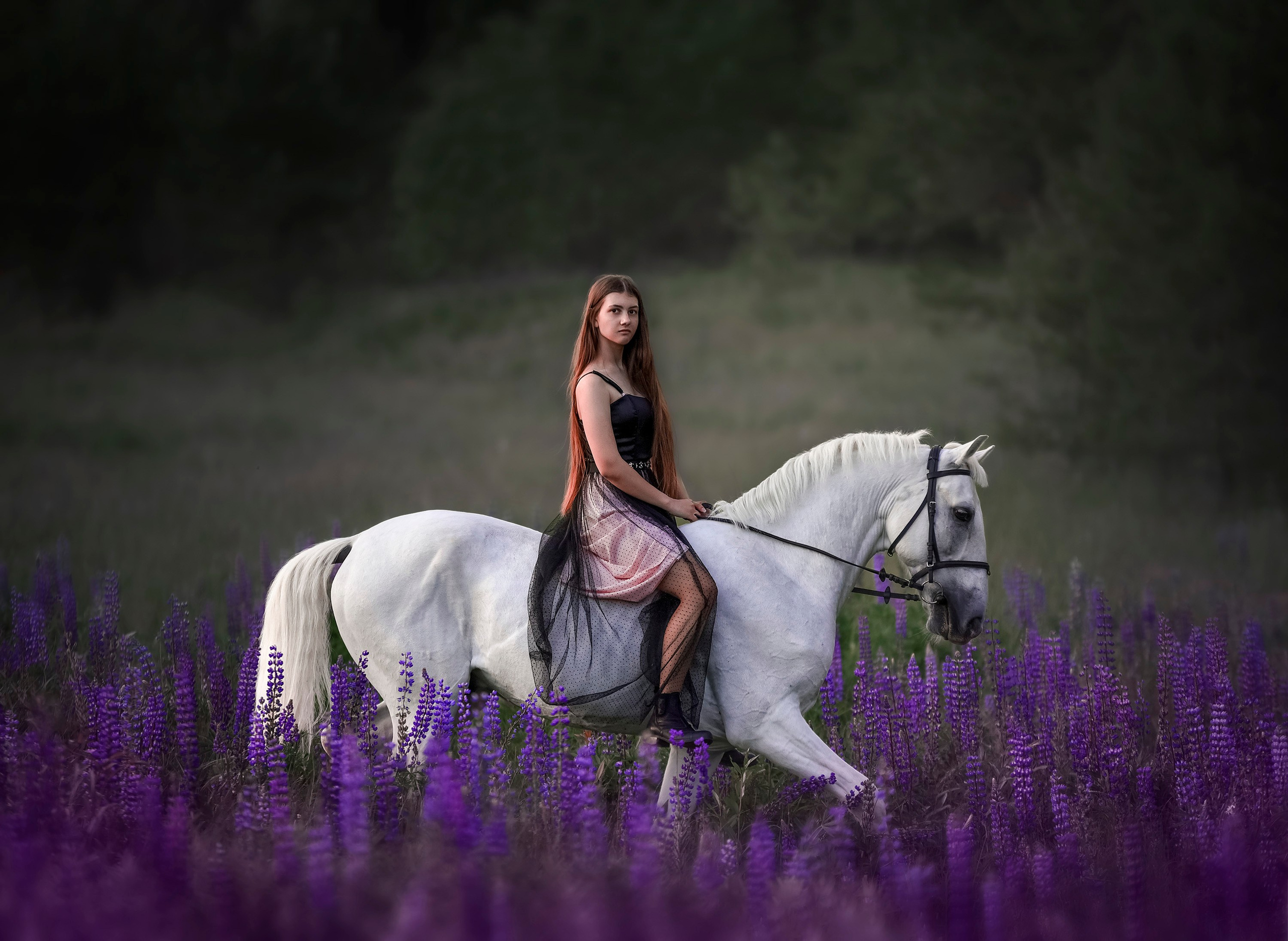 Конный фотограф из Москвы Ирина Бондаркова