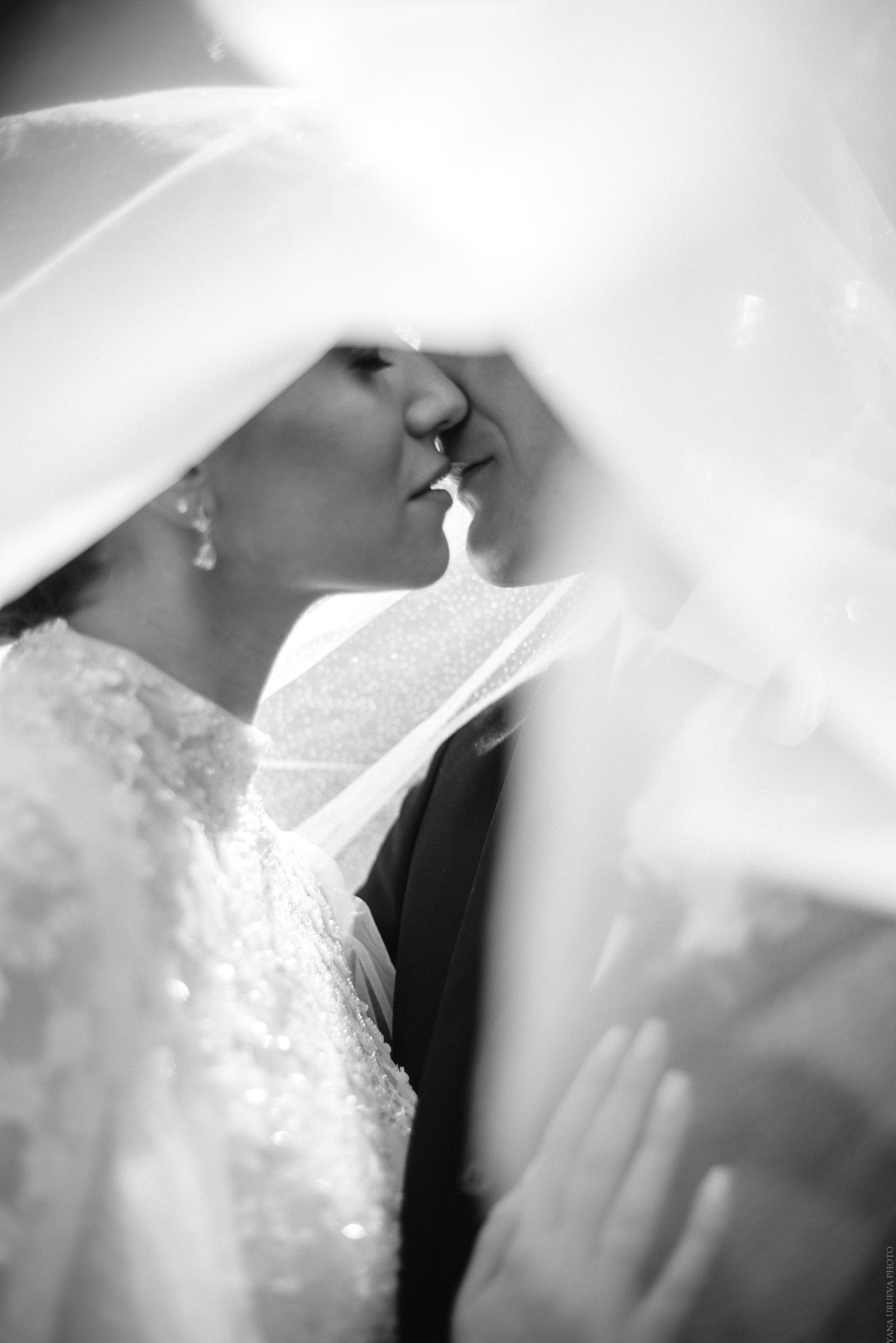 Молодожены целуются под фатой