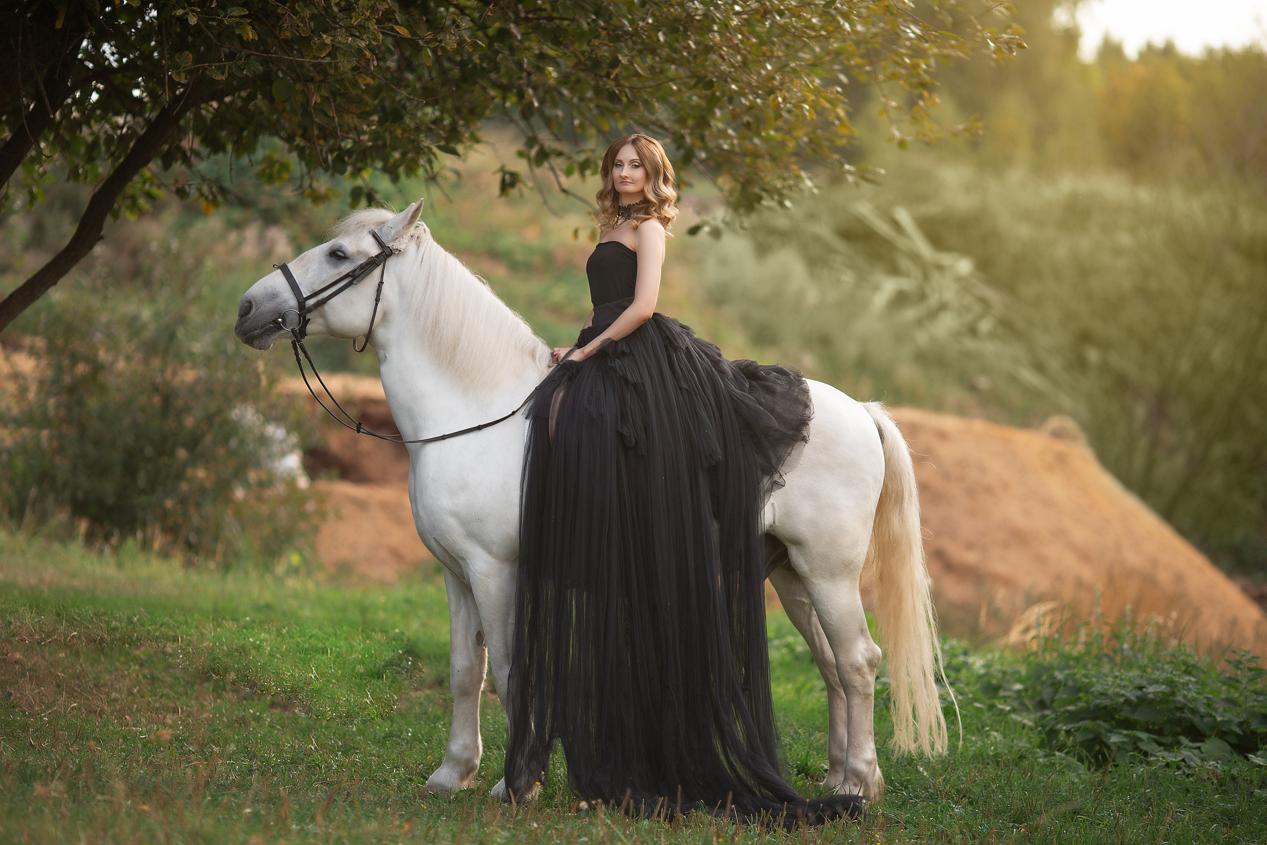 Фотосессия Елены и Воробья. Фотосессия с лошадьми в Нижнем Новгороде