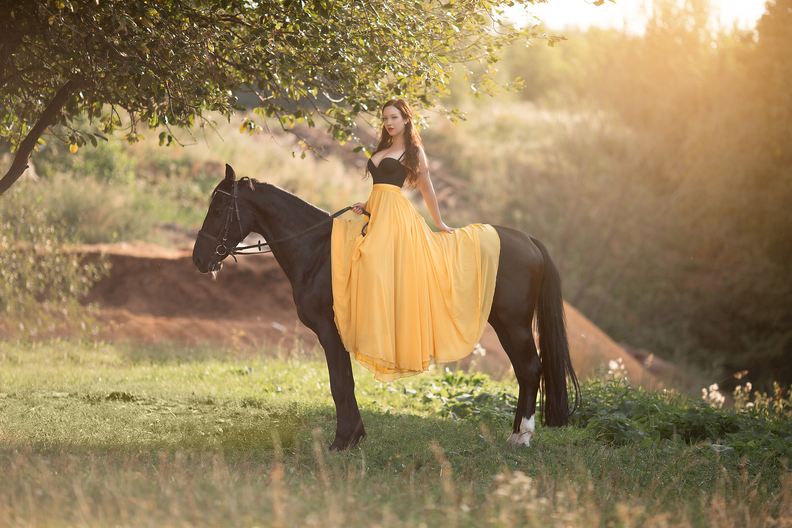Фотосессия Светланы и Барса. Фотосессия с лошадьми в Нижнем Новгороде