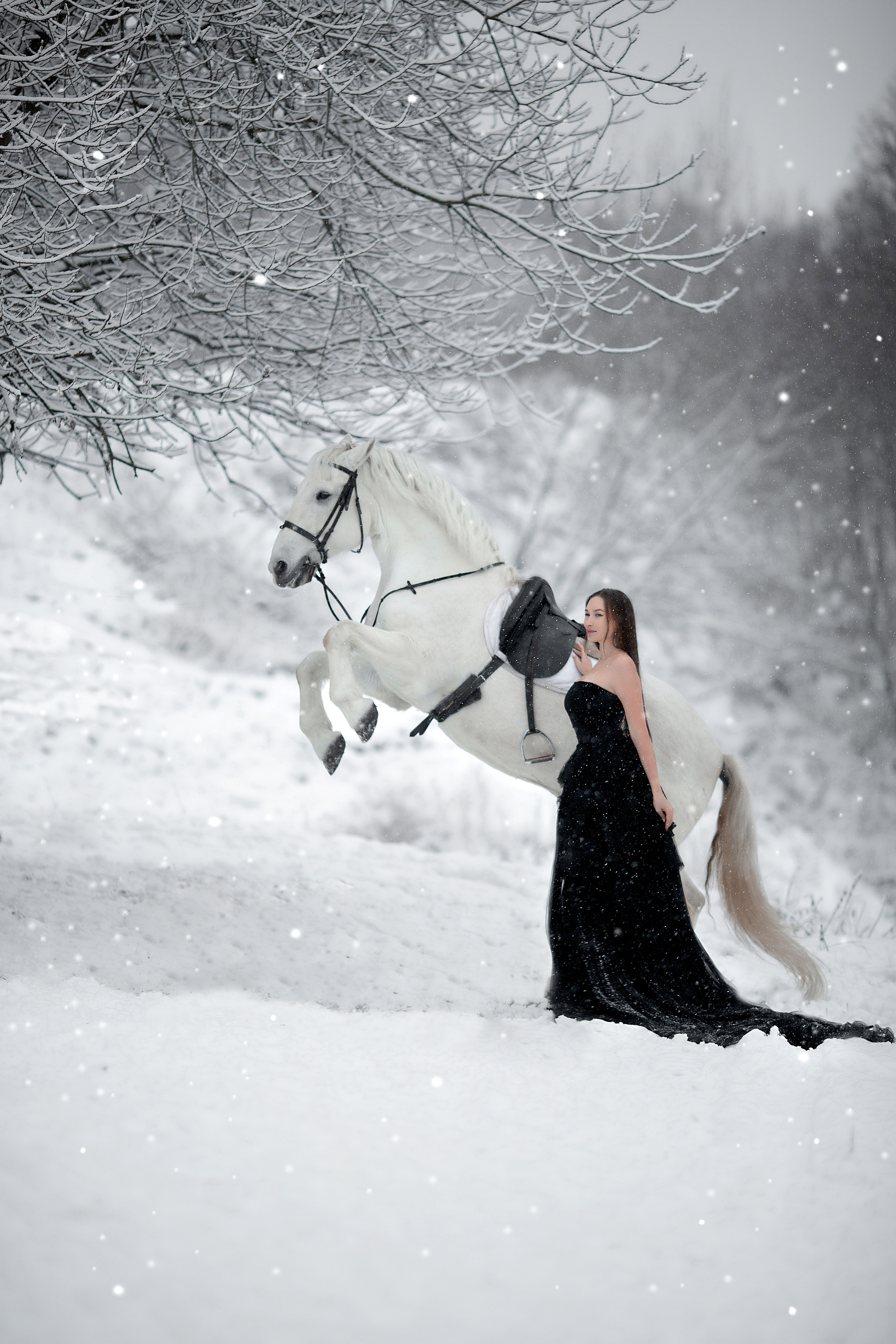 Эльвира и Воробей. Фотосессия с лошадьми в Нижнем Новгороде