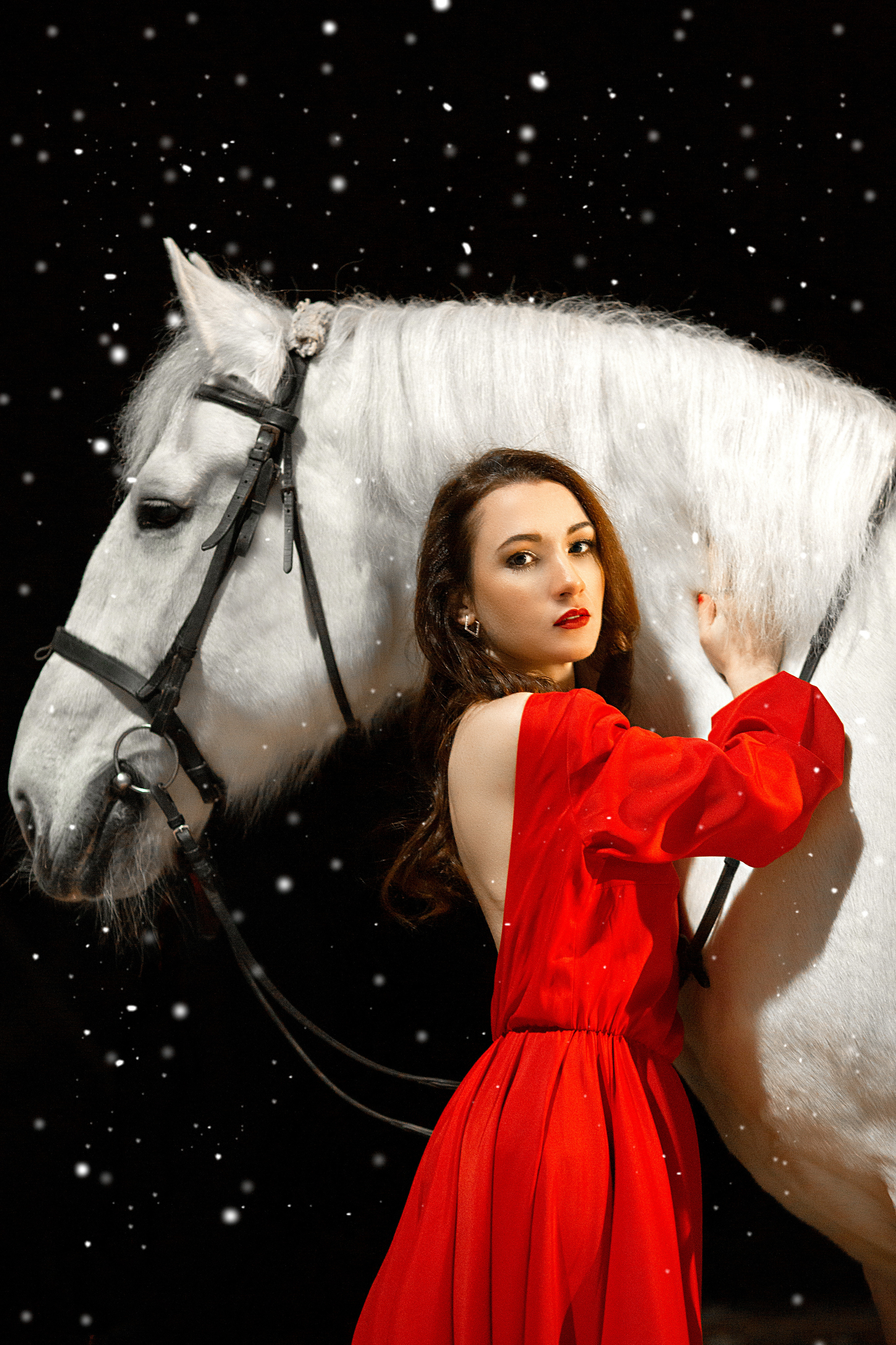 Татьяна и Воробей (фотодень 27.11.21). Фотосессия с лошадьми в Нижнем Новгороде