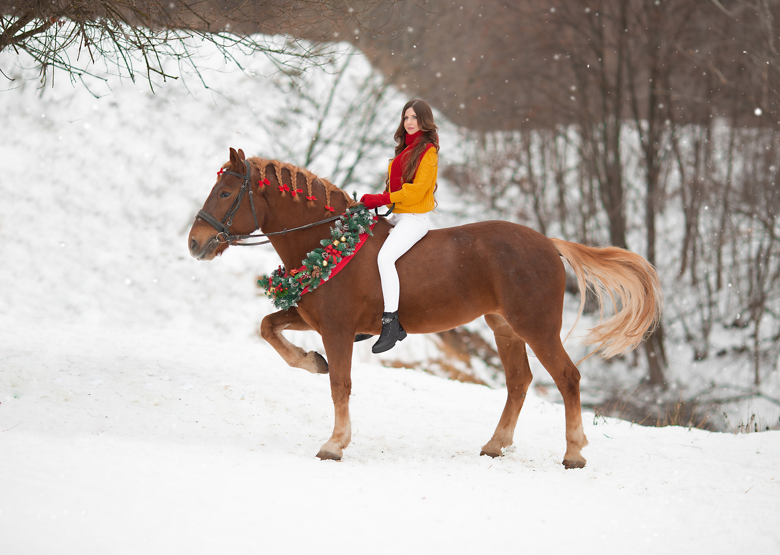 Ира и Радуга фотодень 27.11. Фотосессия с лошадьми в Нижнем Новгороде