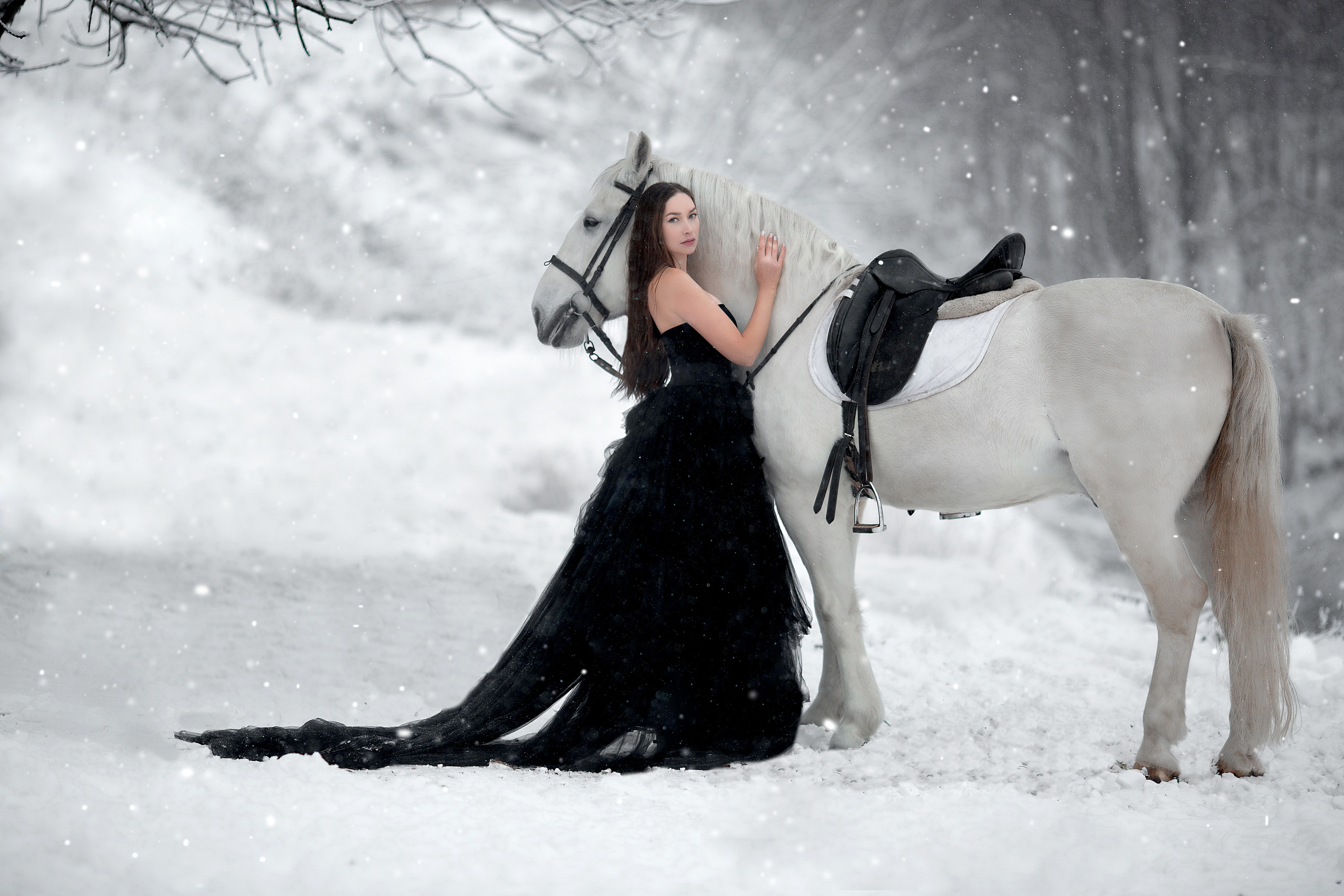 Эльвира и Воробей. Фотосессия с лошадьми в Нижнем Новгороде
