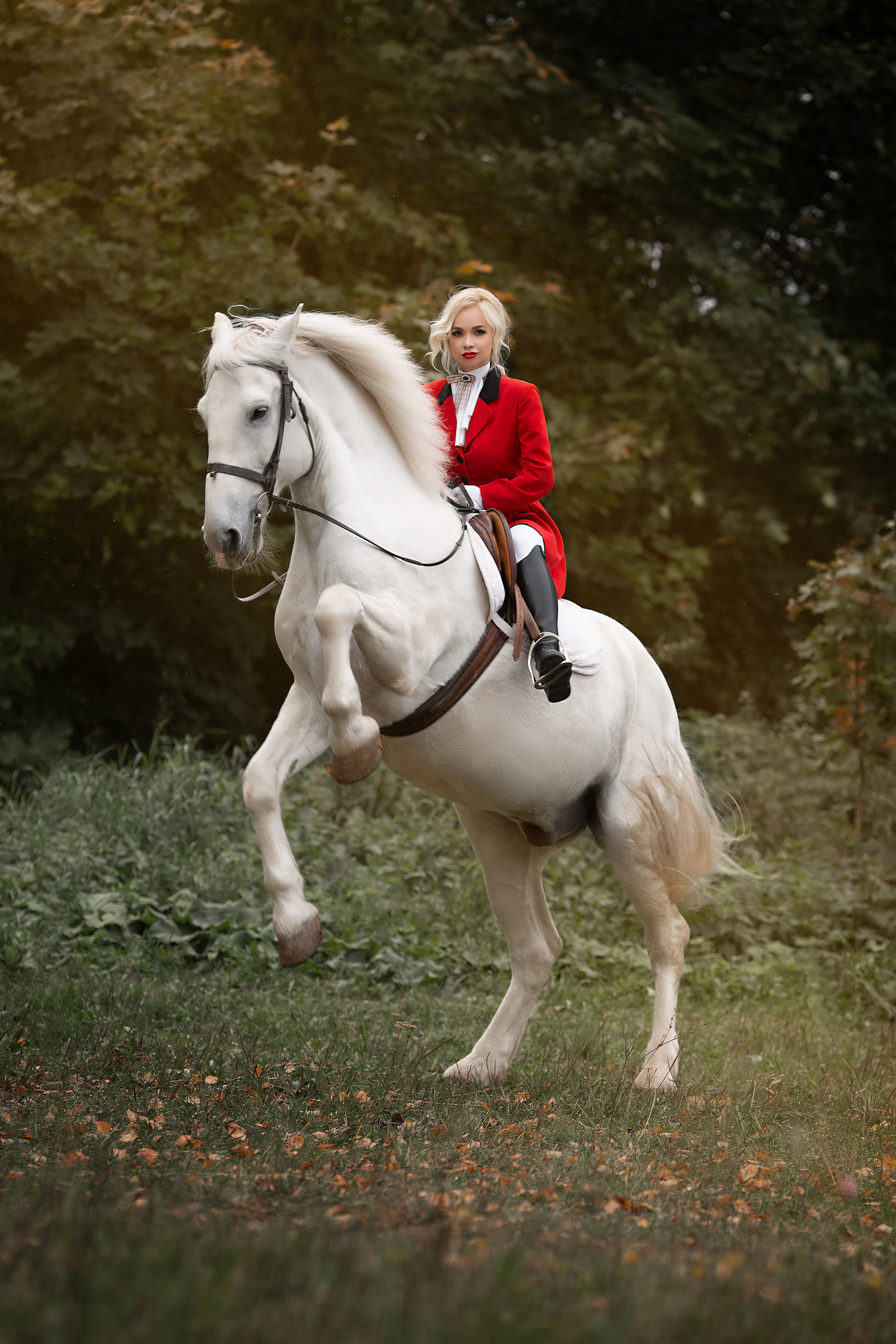 Фотосессия Тани и Воробушка. Фотосессия с лошадьми в Нижнем Новгороде