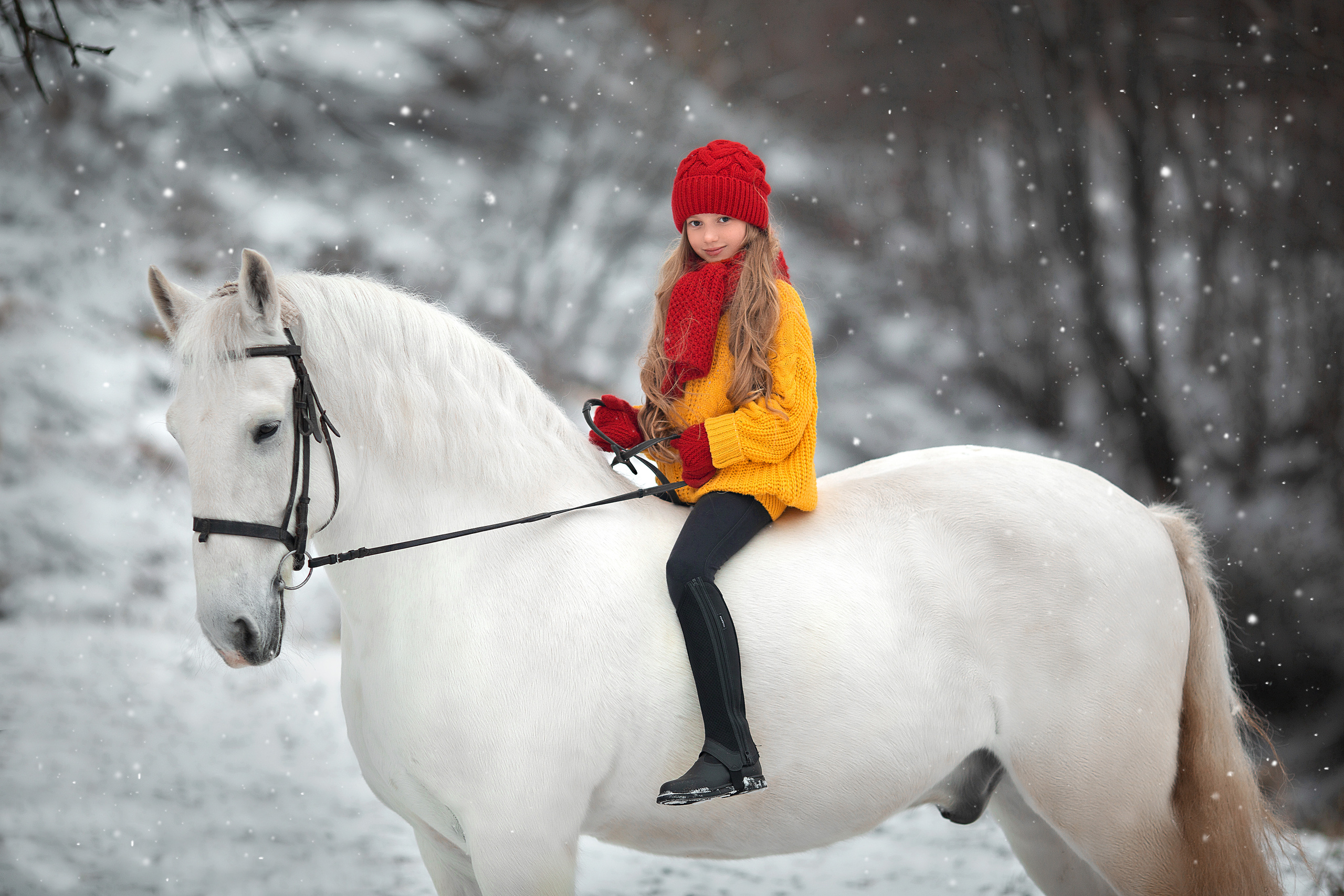 Ева и Воробушек. Фотосессия с лошадьми в Нижнем Новгороде