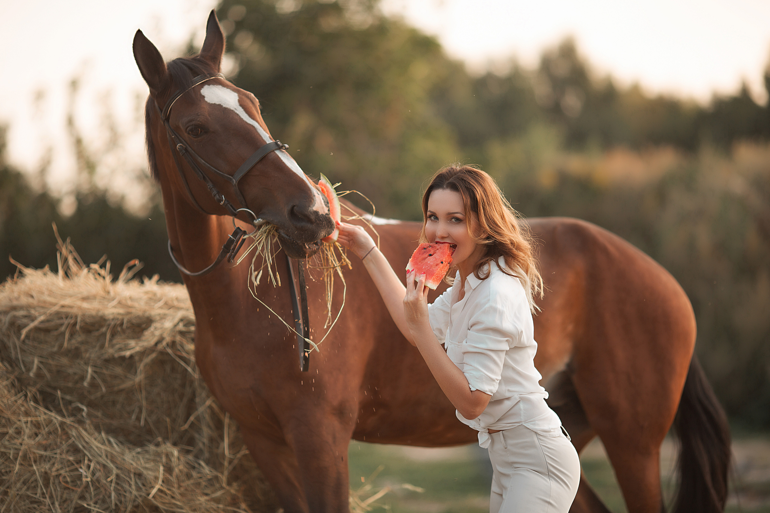 Фотосессия Натальи и Монетки. Фотосессия с лошадьми в Нижнем Новгороде
