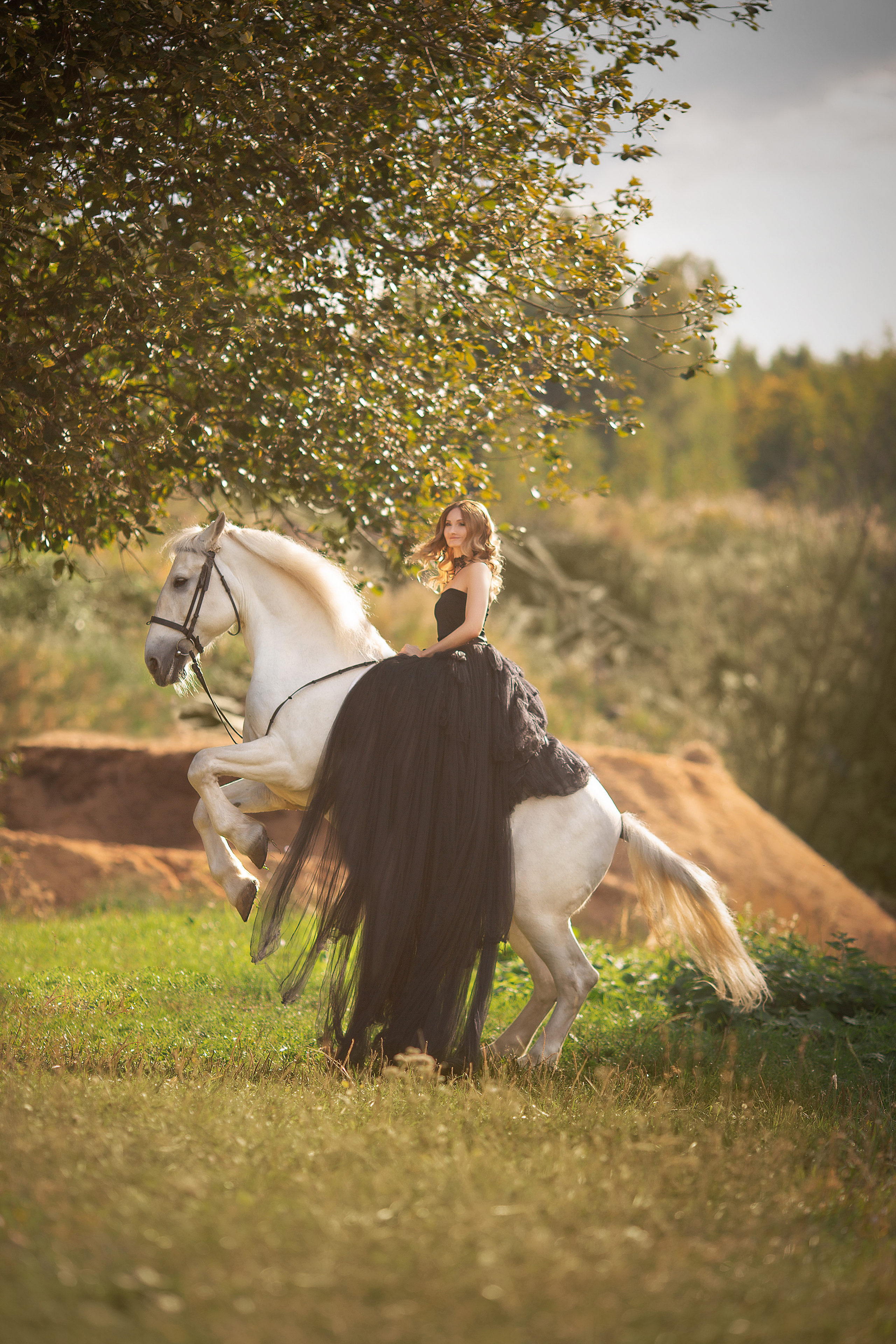 Фотосессия Елены и Воробья. Фотосессия с лошадьми в Нижнем Новгороде