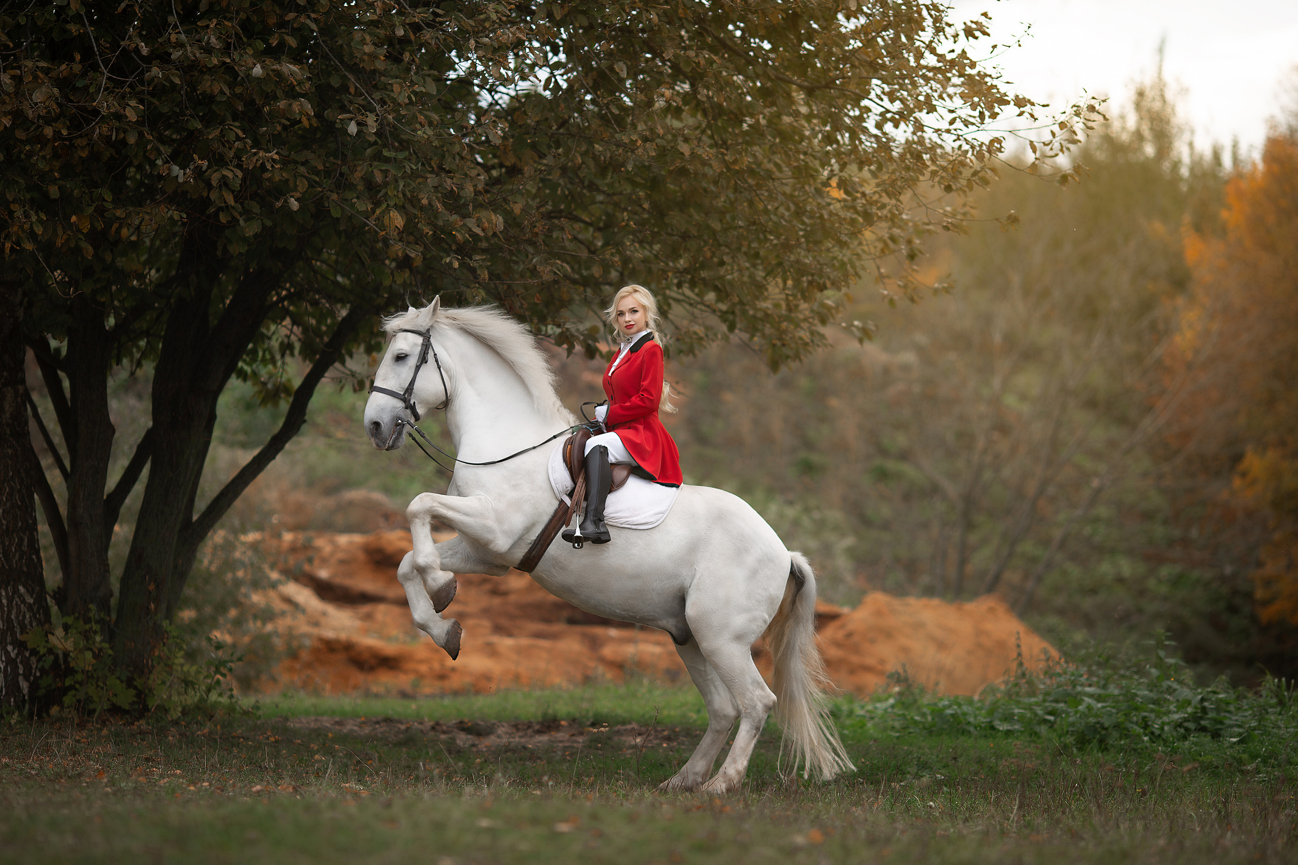 Фотосессия Тани и Воробушка. Фотосессия с лошадьми в Нижнем Новгороде