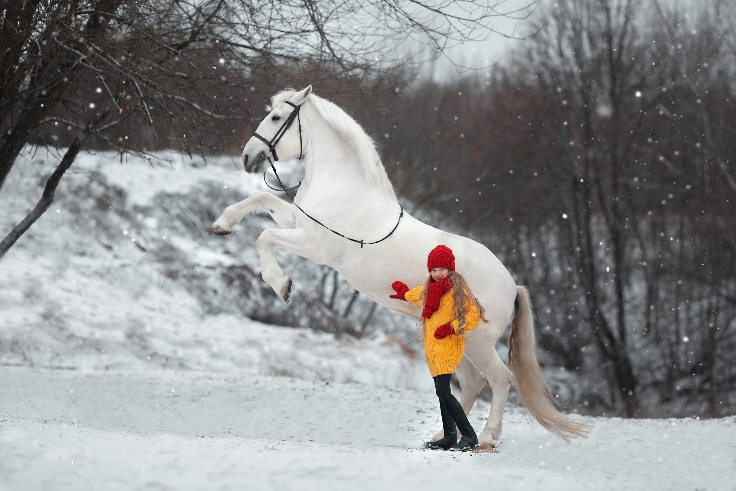 Ева и Воробушек. Фотосессия с лошадьми в Нижнем Новгороде