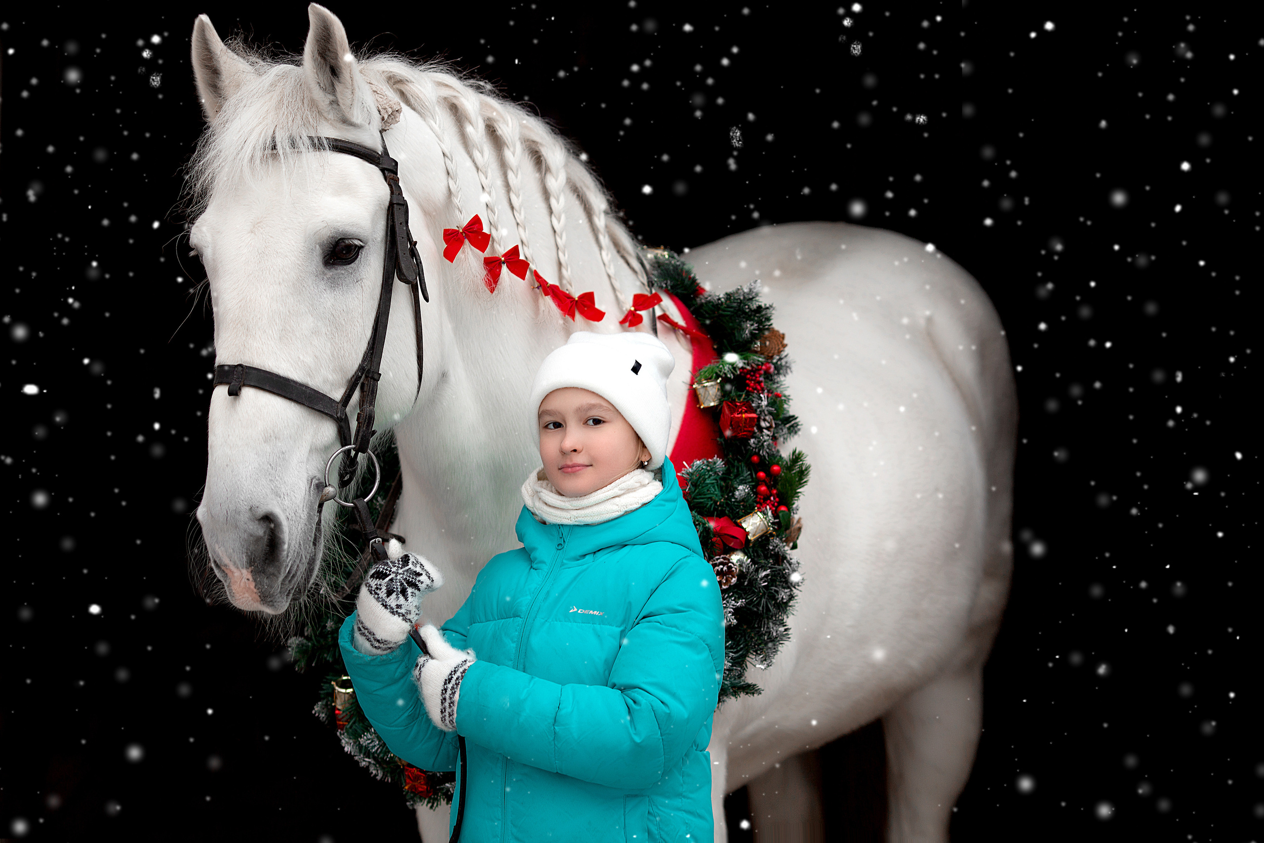 Ирина, Лана и Воробей (фотодень 27.11). Фотосессия с лошадьми в Нижнем Новгороде