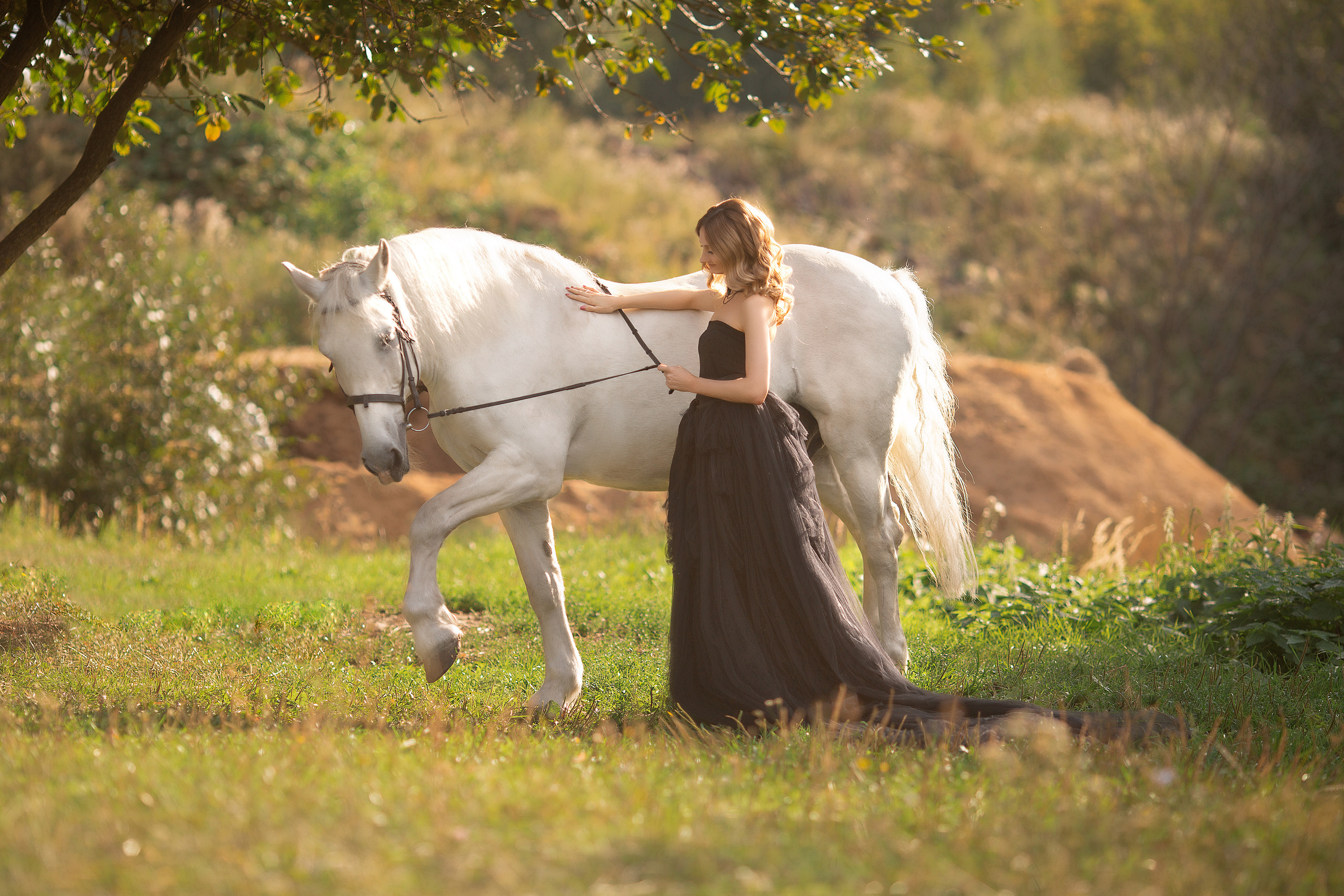Фотосессия Елены и Воробья. Фотосессия с лошадьми в Нижнем Новгороде