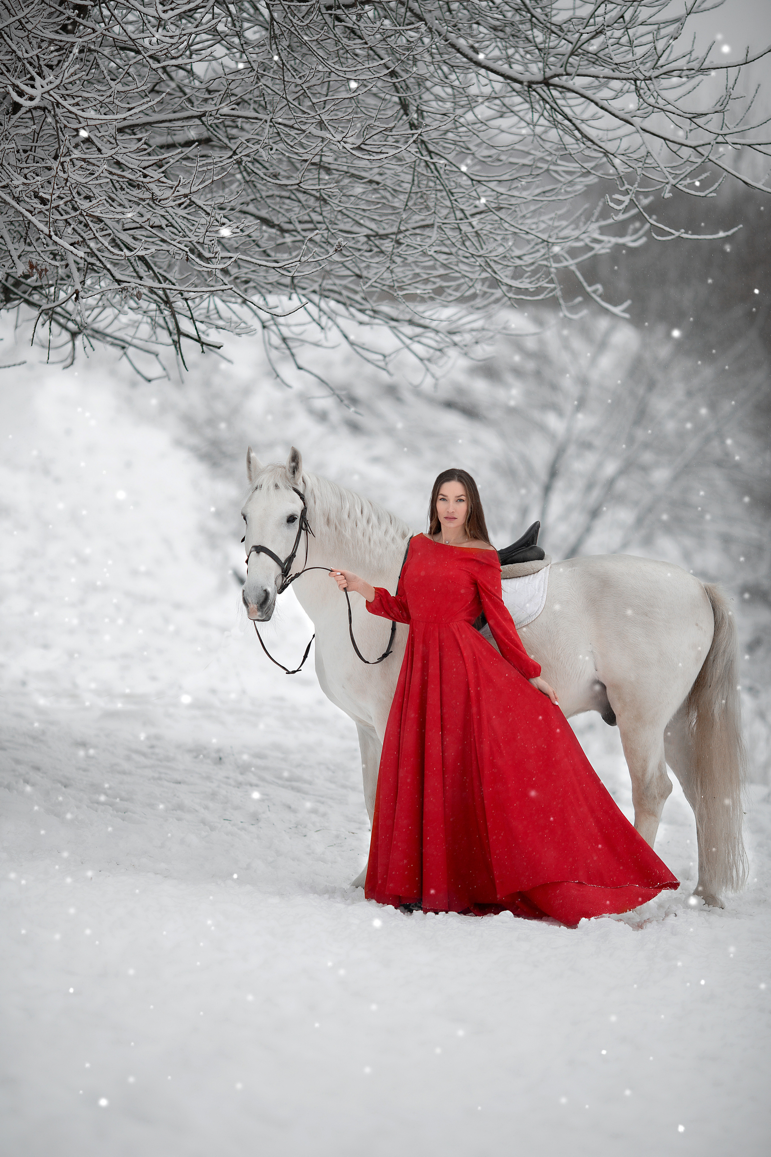Эльвира и Воробей. Фотосессия с лошадьми в Нижнем Новгороде