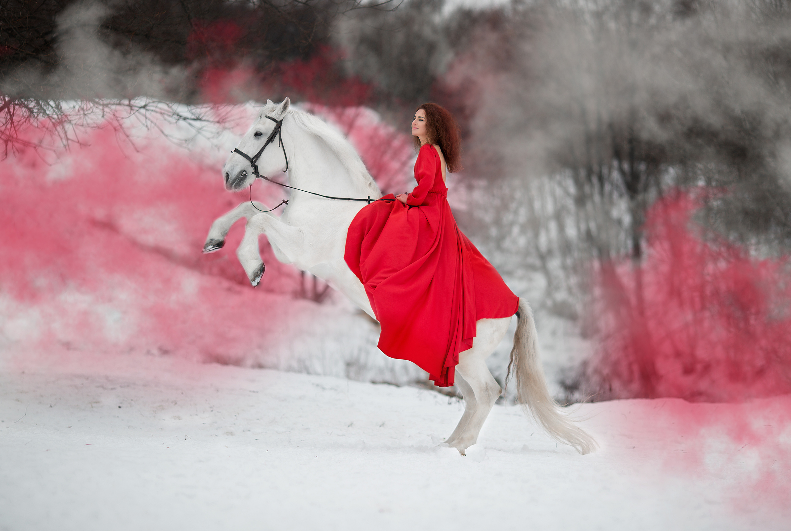 Ольга, Софья и Воробей (фотодень 27.11). Фотосессия с лошадьми в Нижнем Новгороде