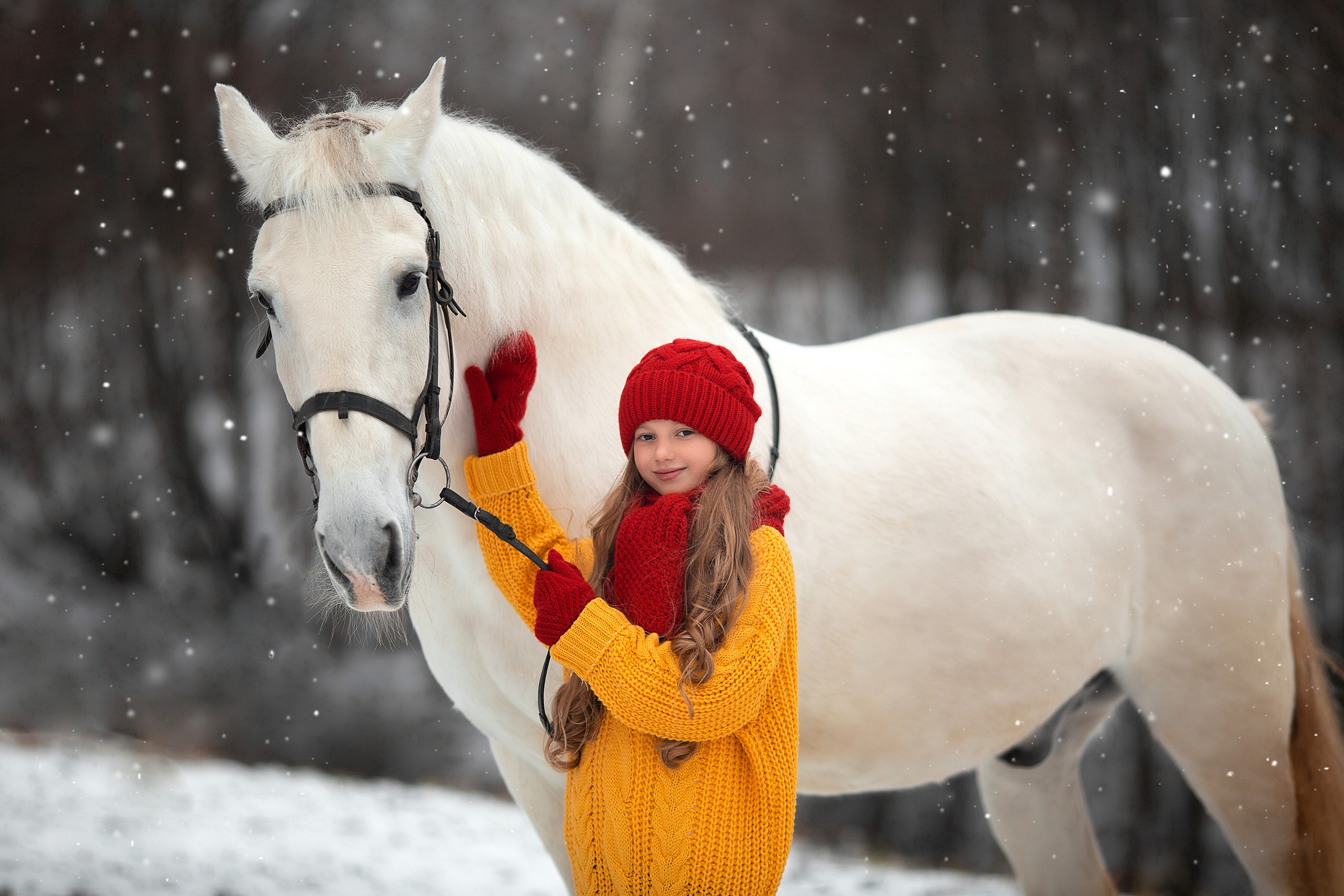 Ева и Воробушек. Фотосессия с лошадьми в Нижнем Новгороде
