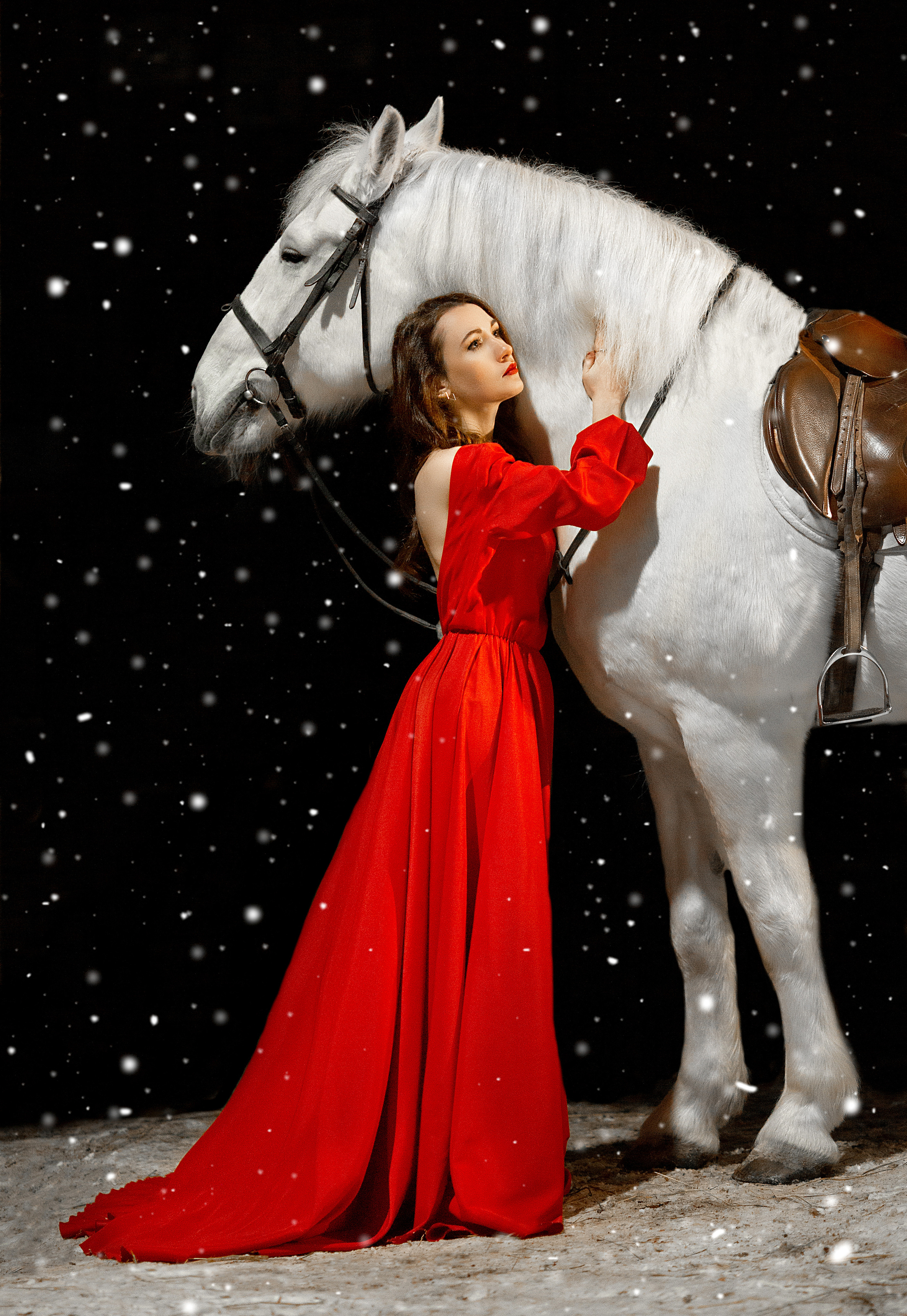 Татьяна и Воробей (фотодень 27.11.21). Фотосессия с лошадьми в Нижнем Новгороде