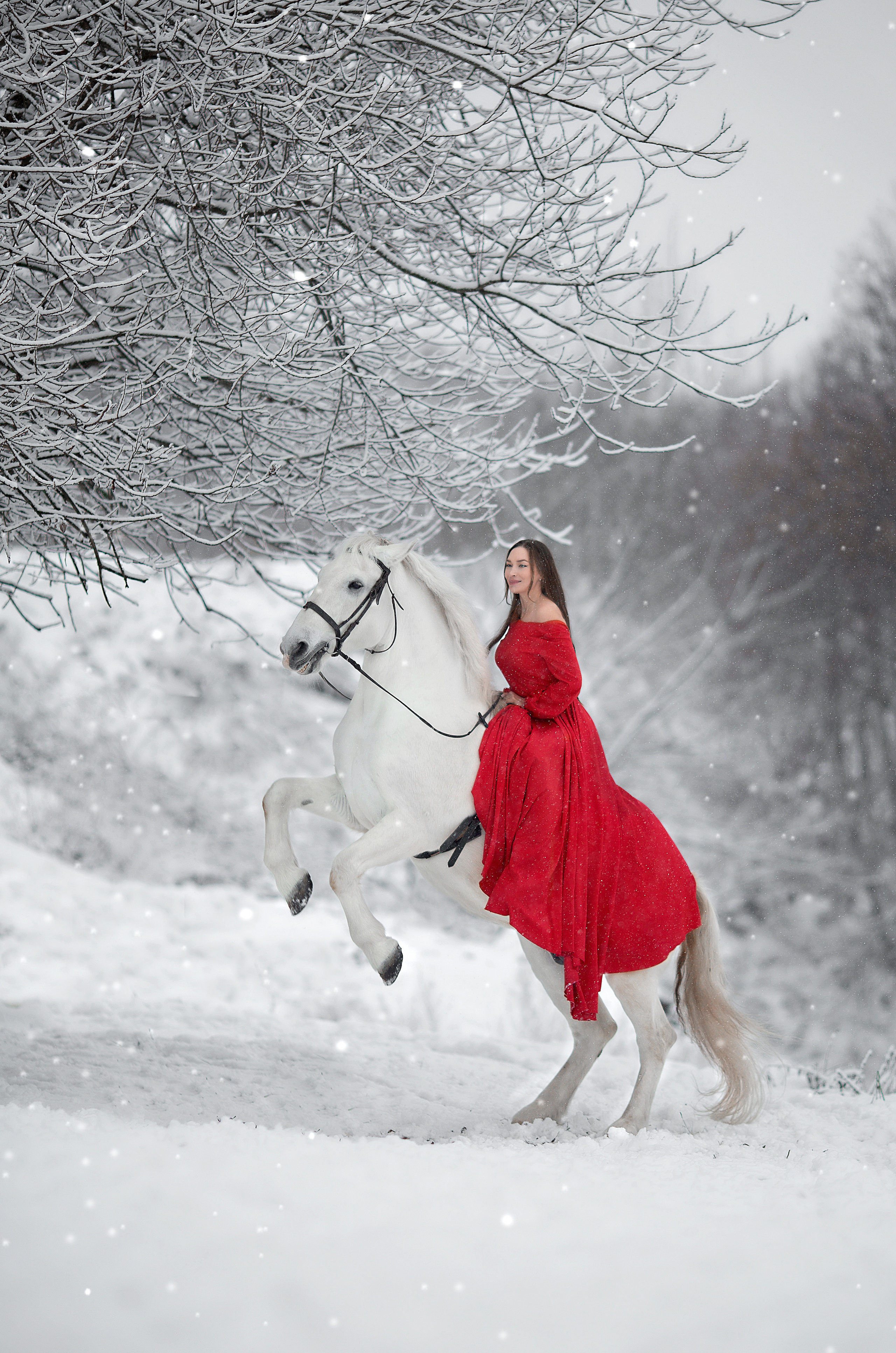 Эльвира и Воробей. Фотосессия с лошадьми в Нижнем Новгороде