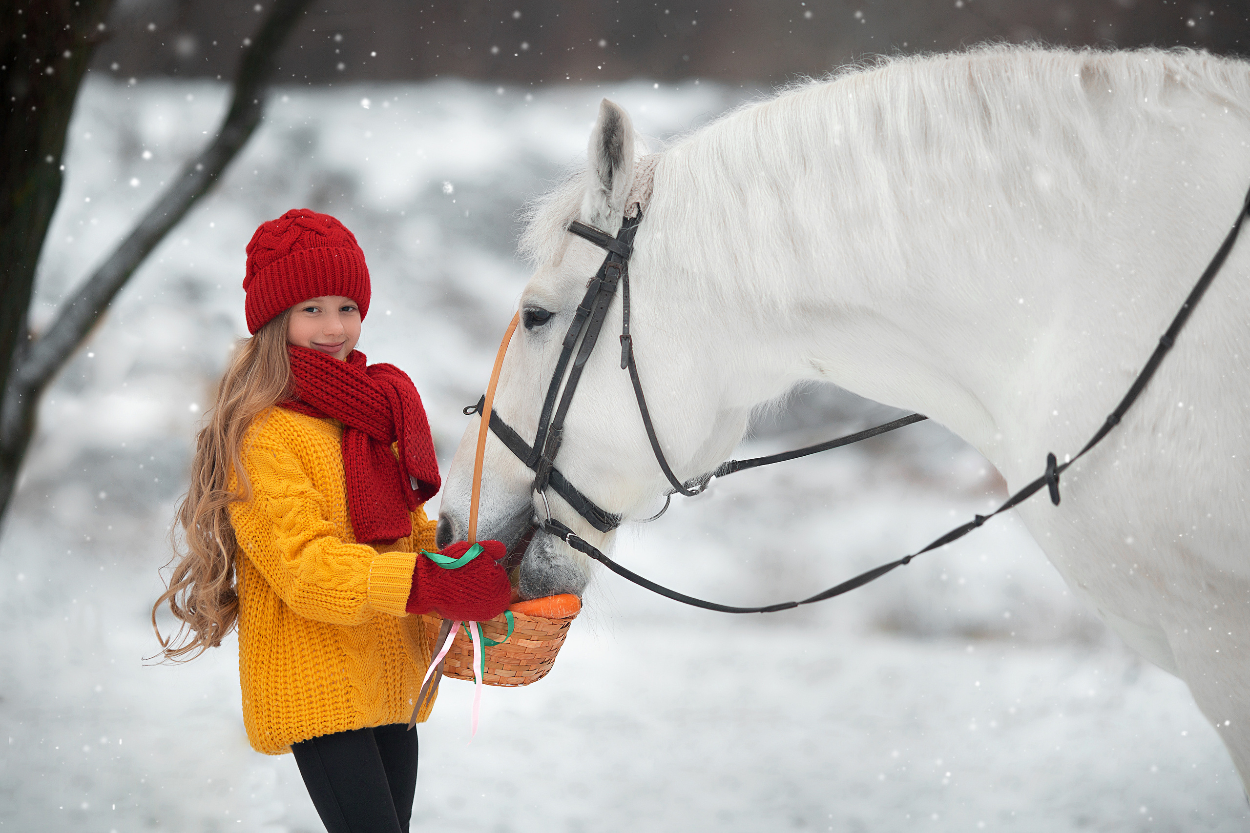 Ева и Воробушек. Фотосессия с лошадьми в Нижнем Новгороде