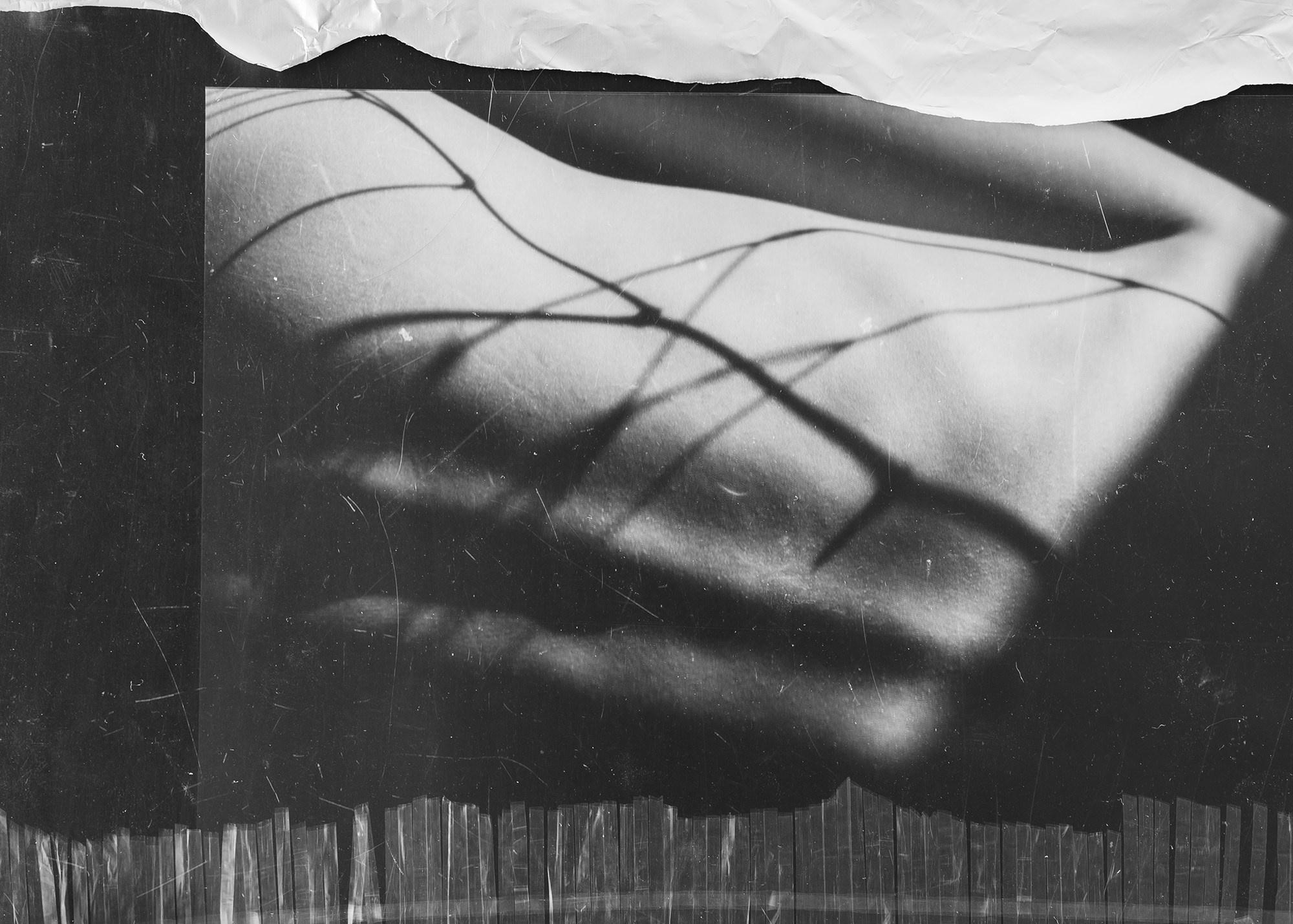 Абстрактный проект. Фотограф Елена Хазина, Рязань