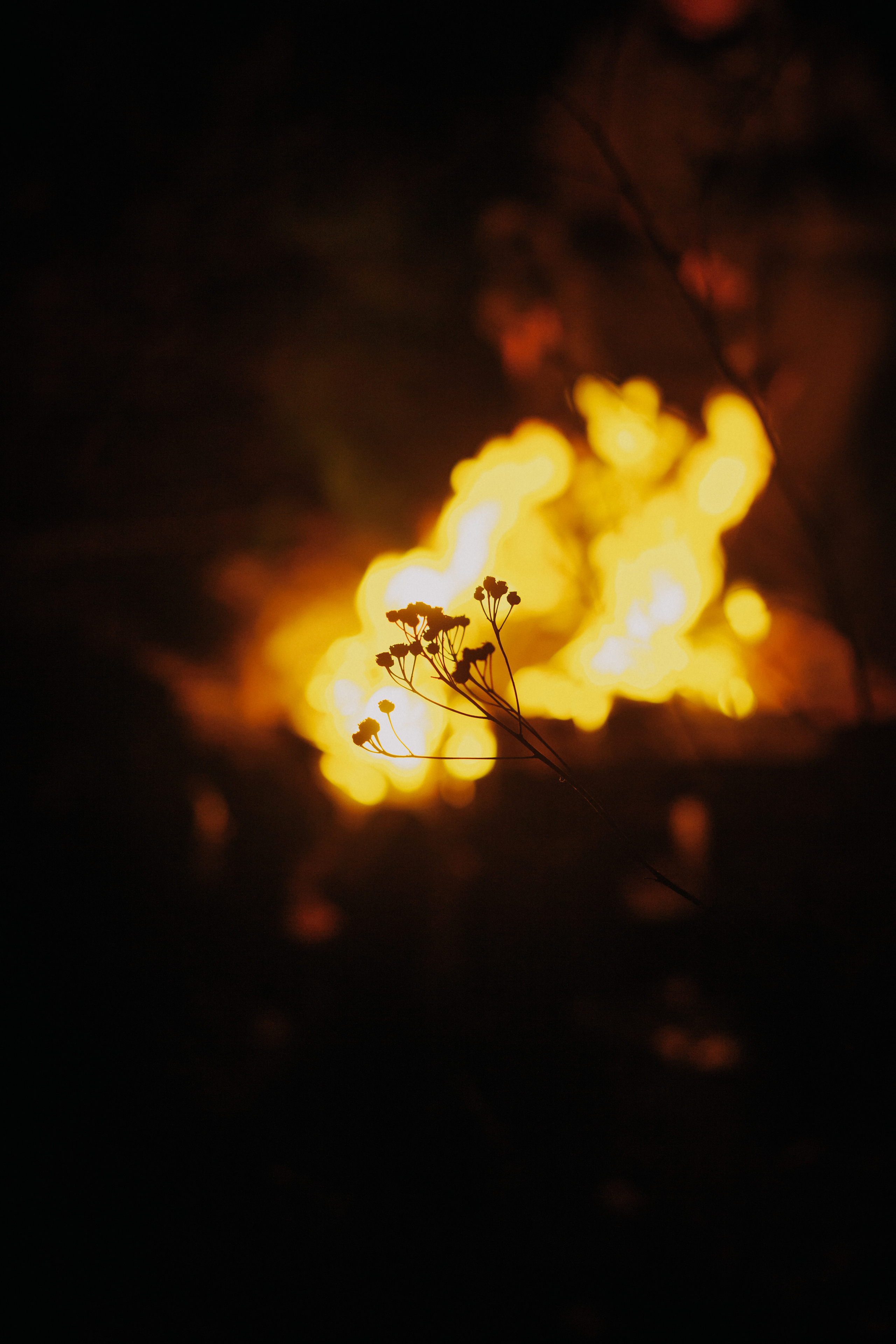 S.T.A.L.K.E.R. Екатерина Дымова. Фотограф. Автор проекта «Белый Ветер»