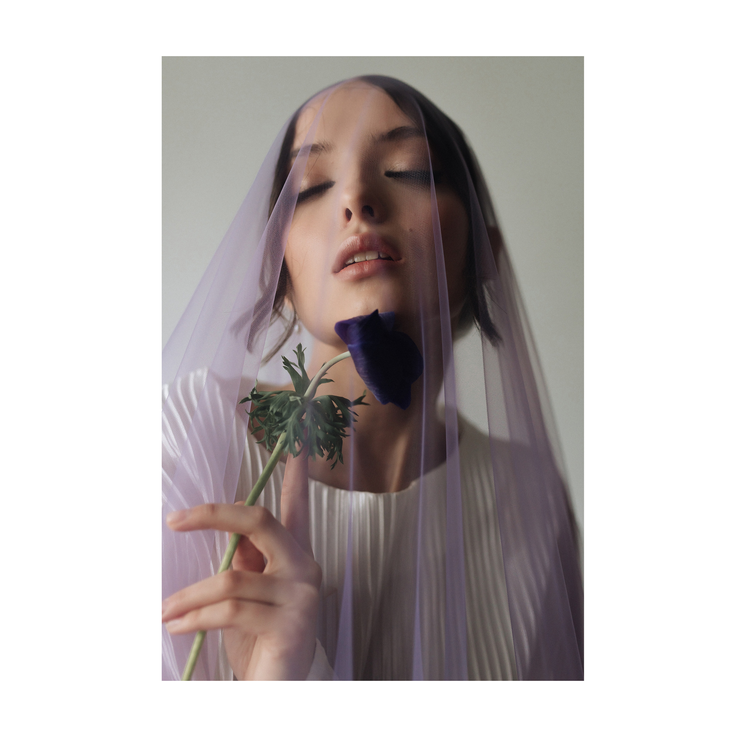 WED-project' 23. ANNSENSUS