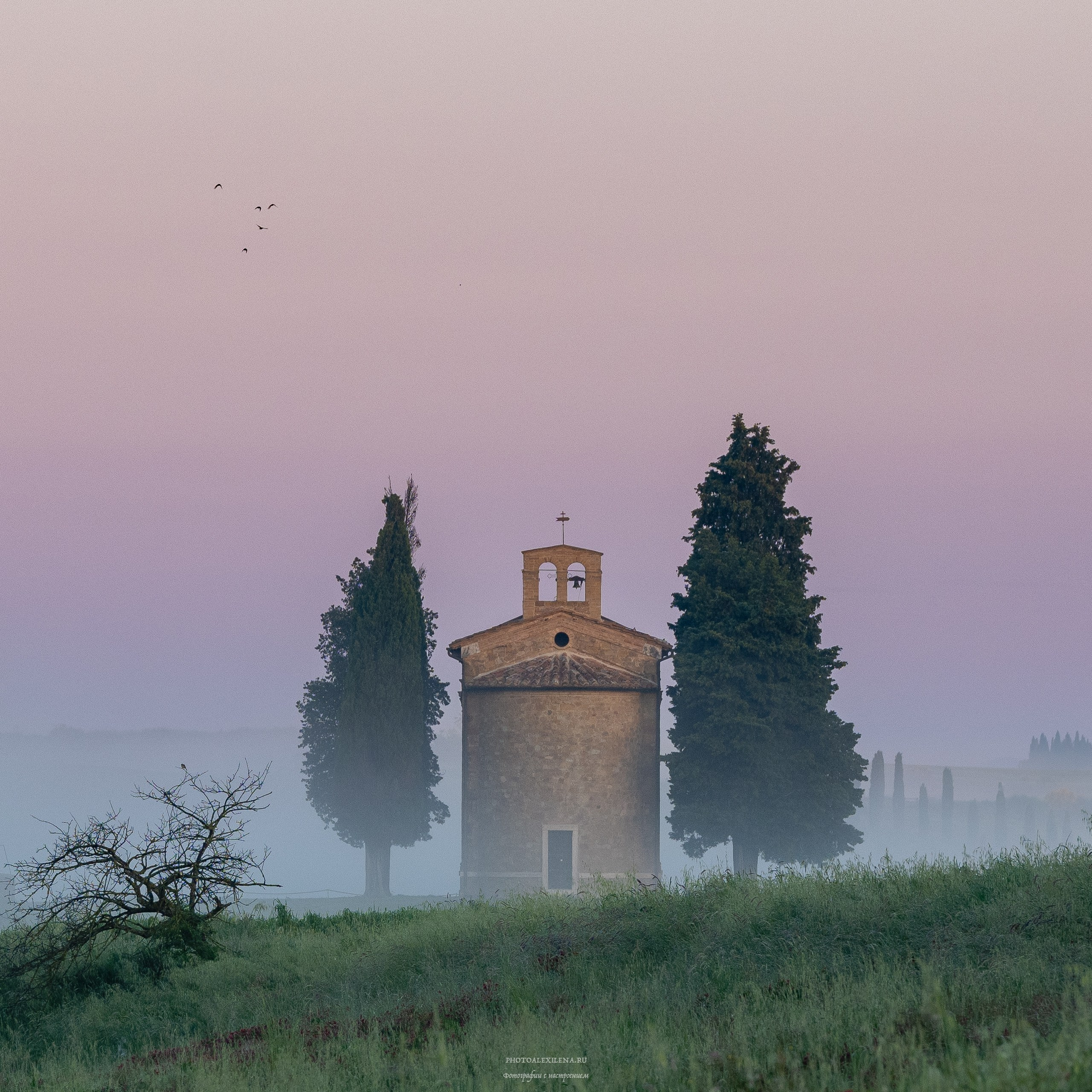Путешествие сквозь красоту и вдохновение. Авторские стильные фотокартины