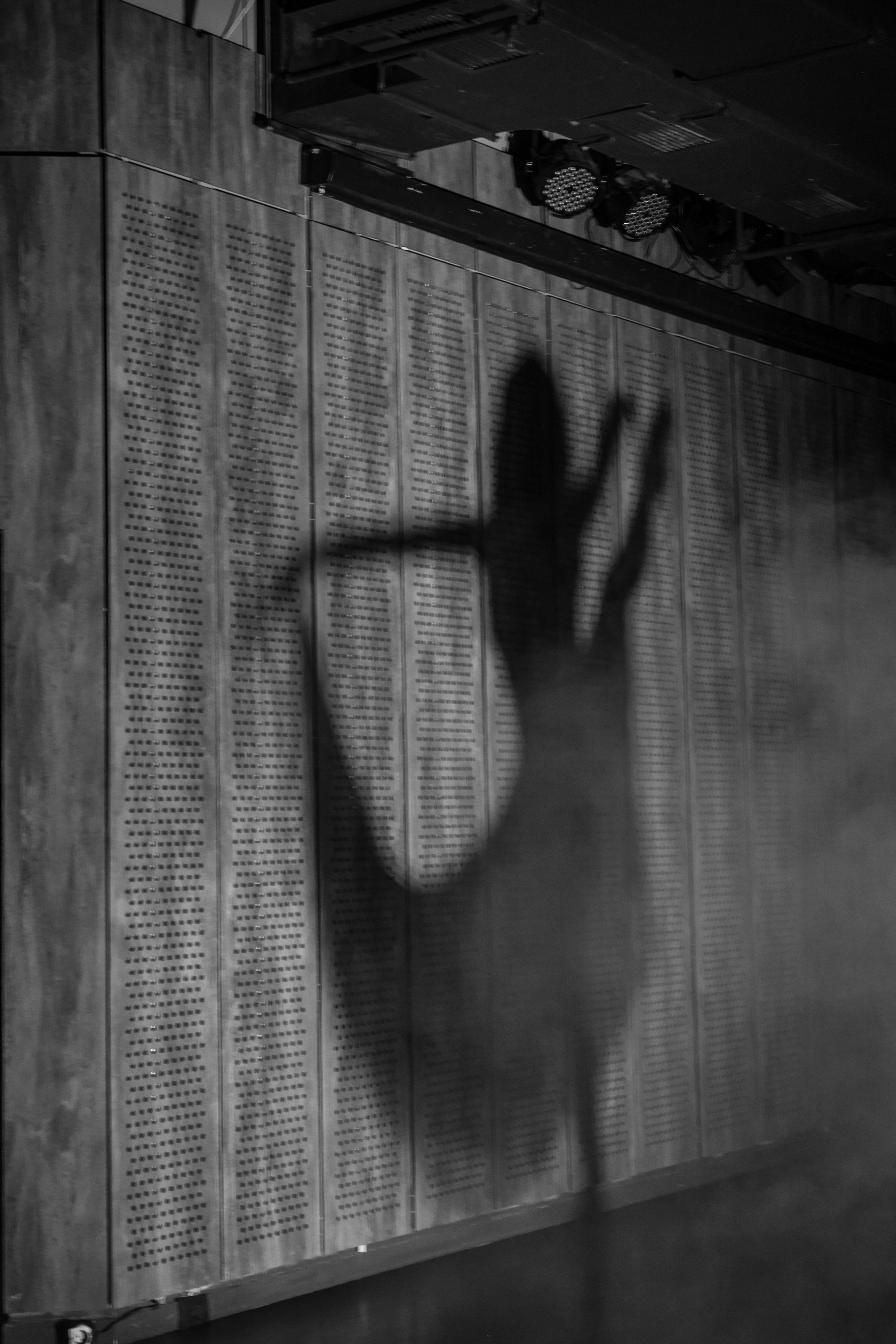 Рок-балет «Чувства». Свадебный и репортажный фотограф (Москва, Королев и другие)